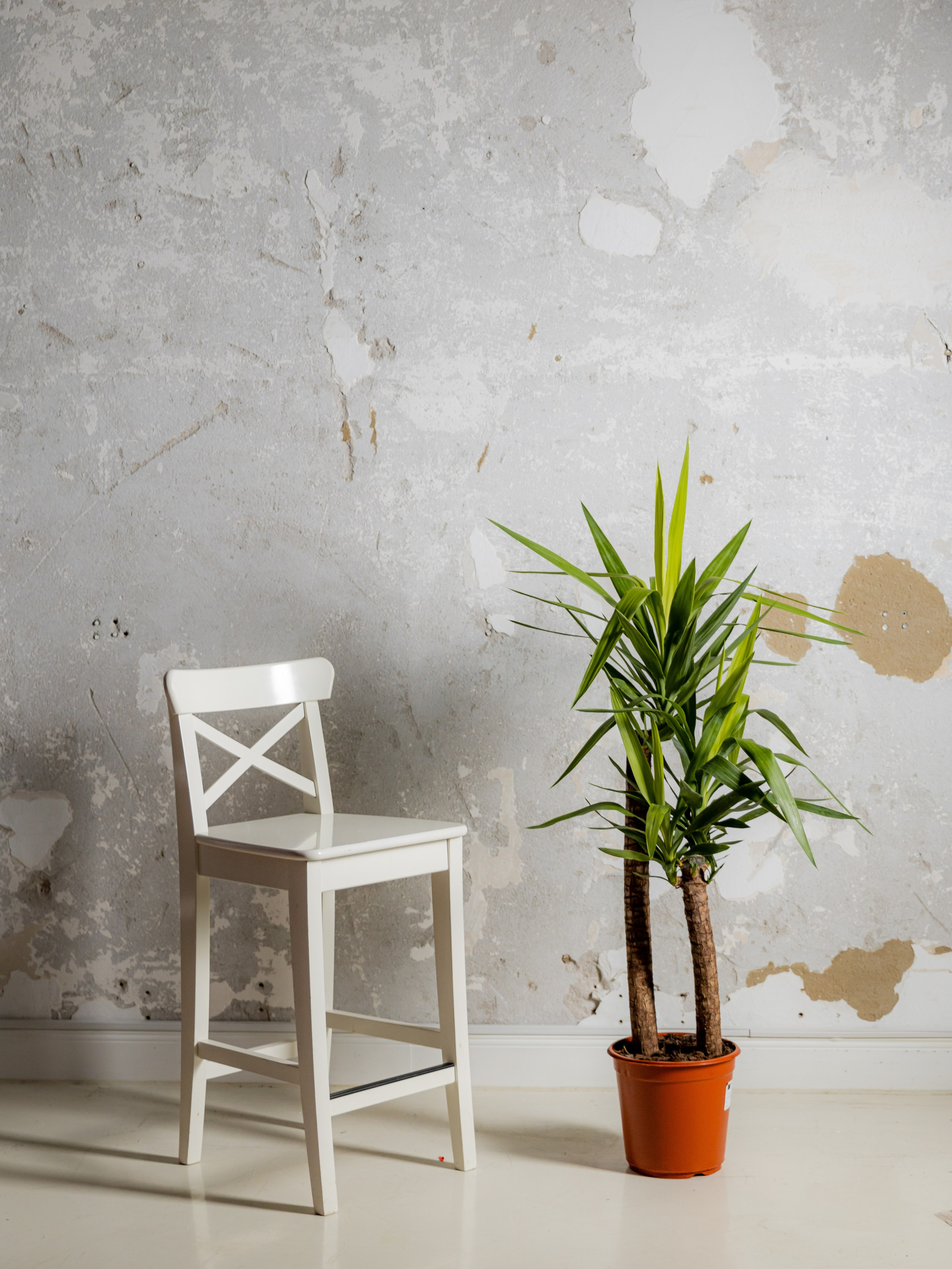 Aktuelle Standorte. Leon Fotostudio Hamburg