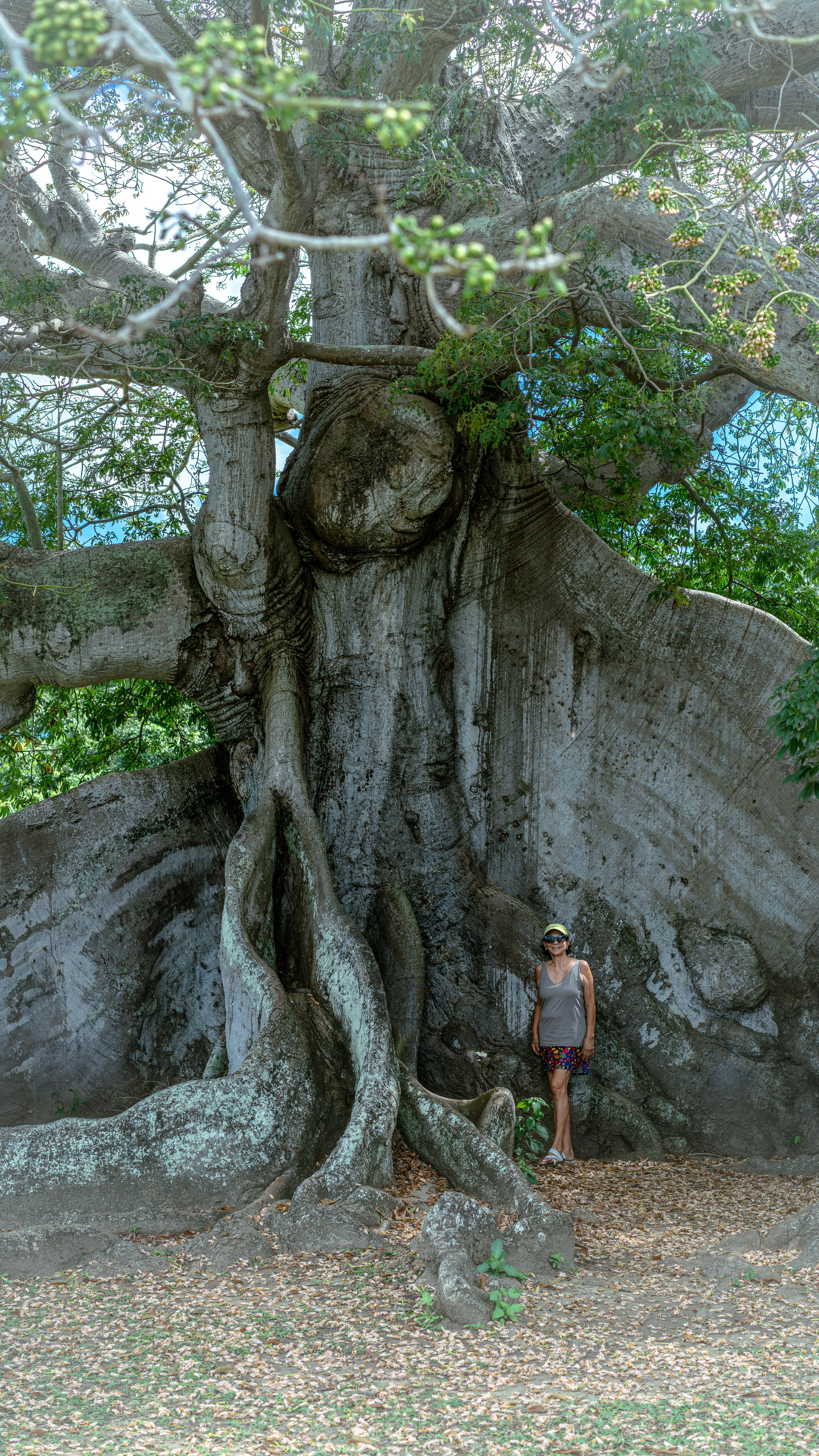 Natural Light. Manny Cruzado Photography