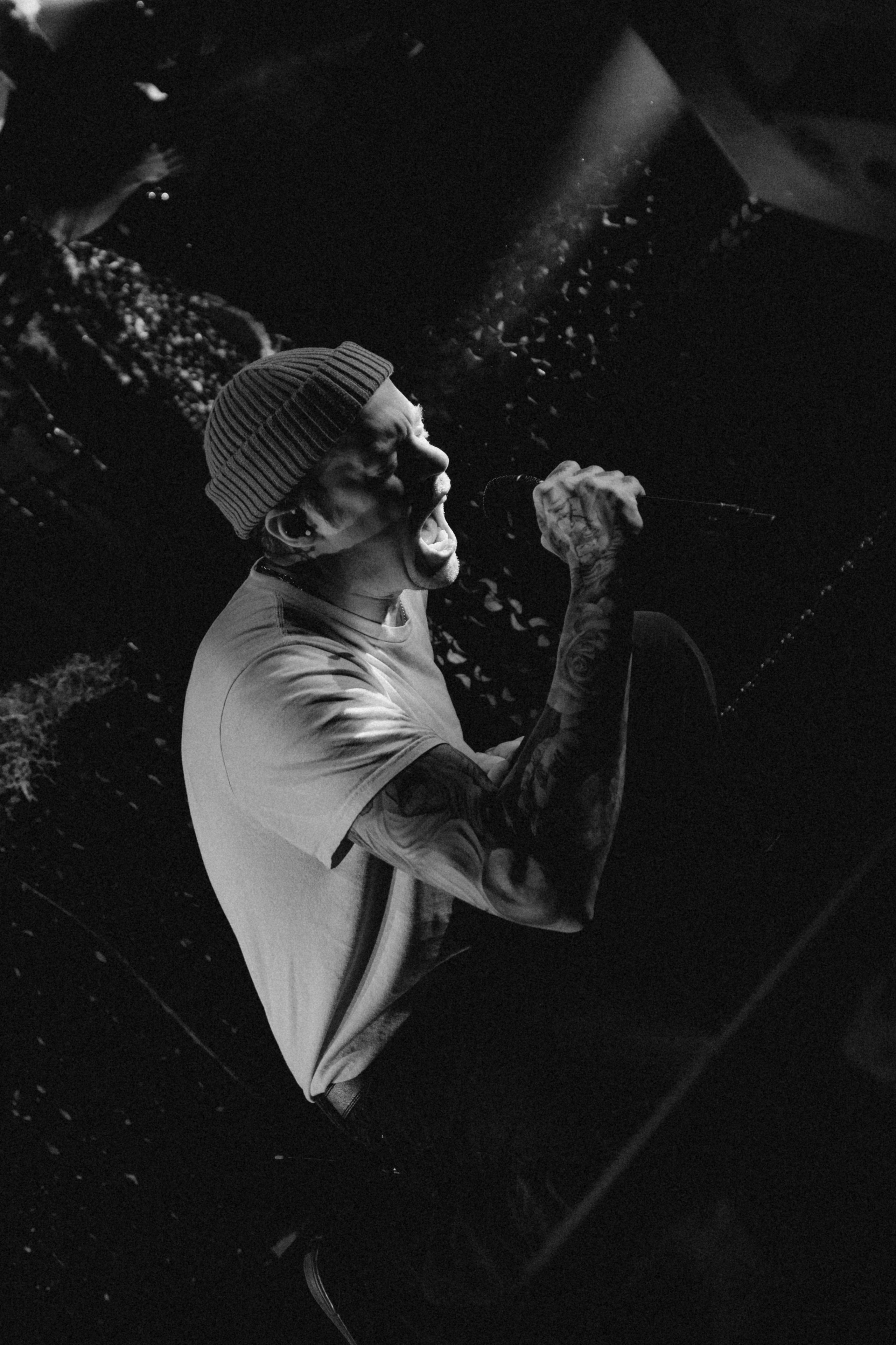The Plot In You. Concert and portrait photographer in Prague