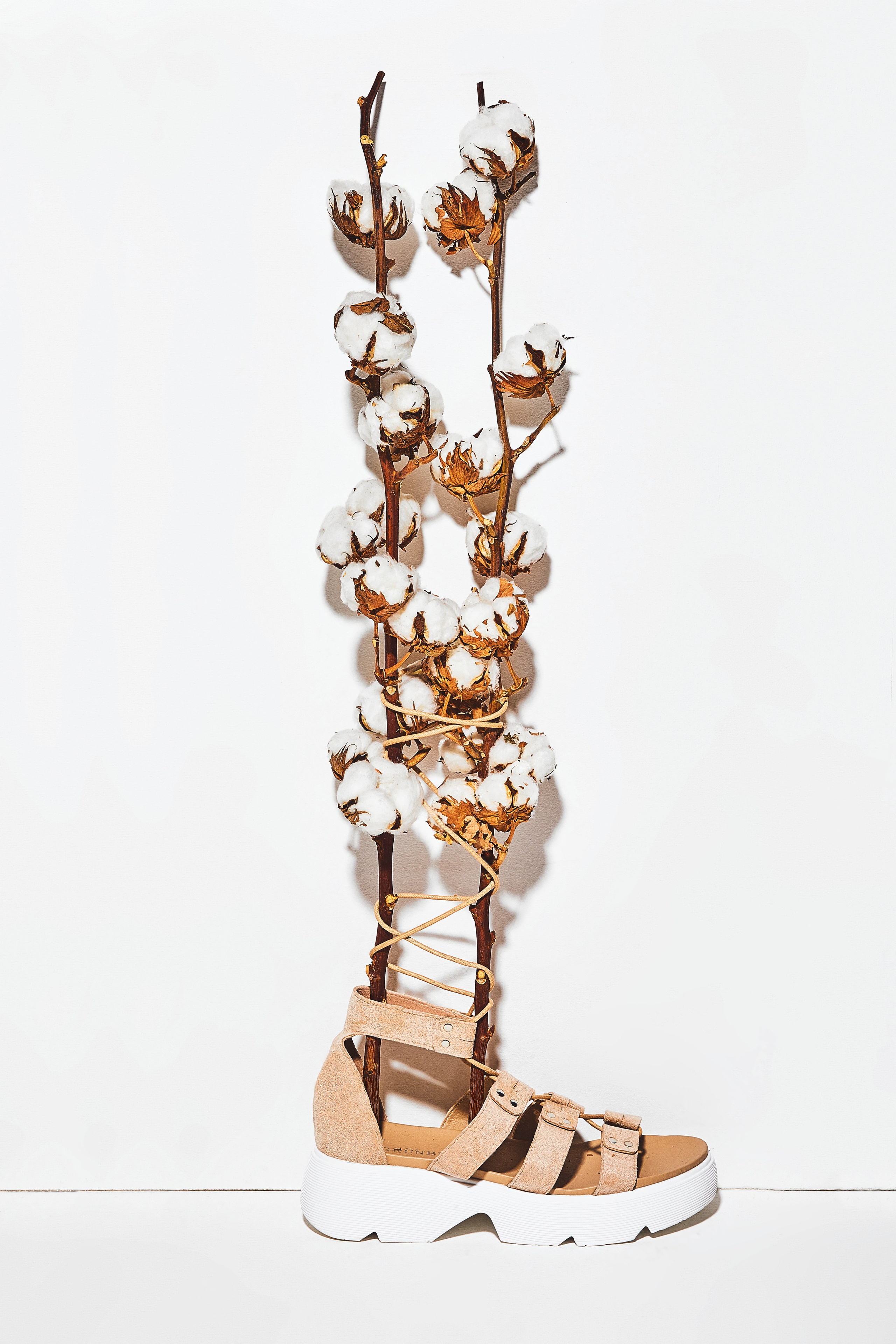 Предметная съемка. Фотограф Абдршин Валерий