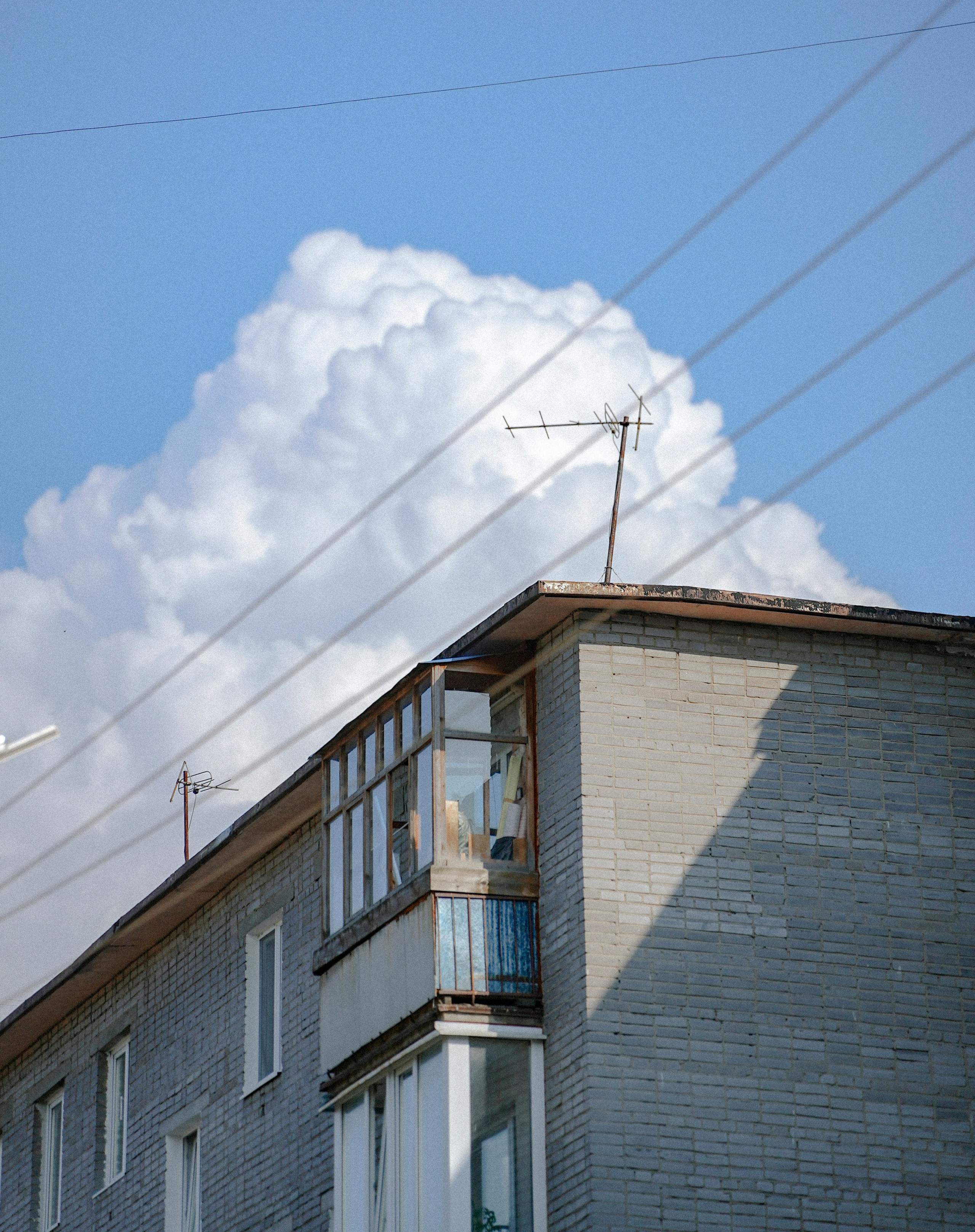 2025. Стрит-фотография, полная абсурда, идиотизма и красоты