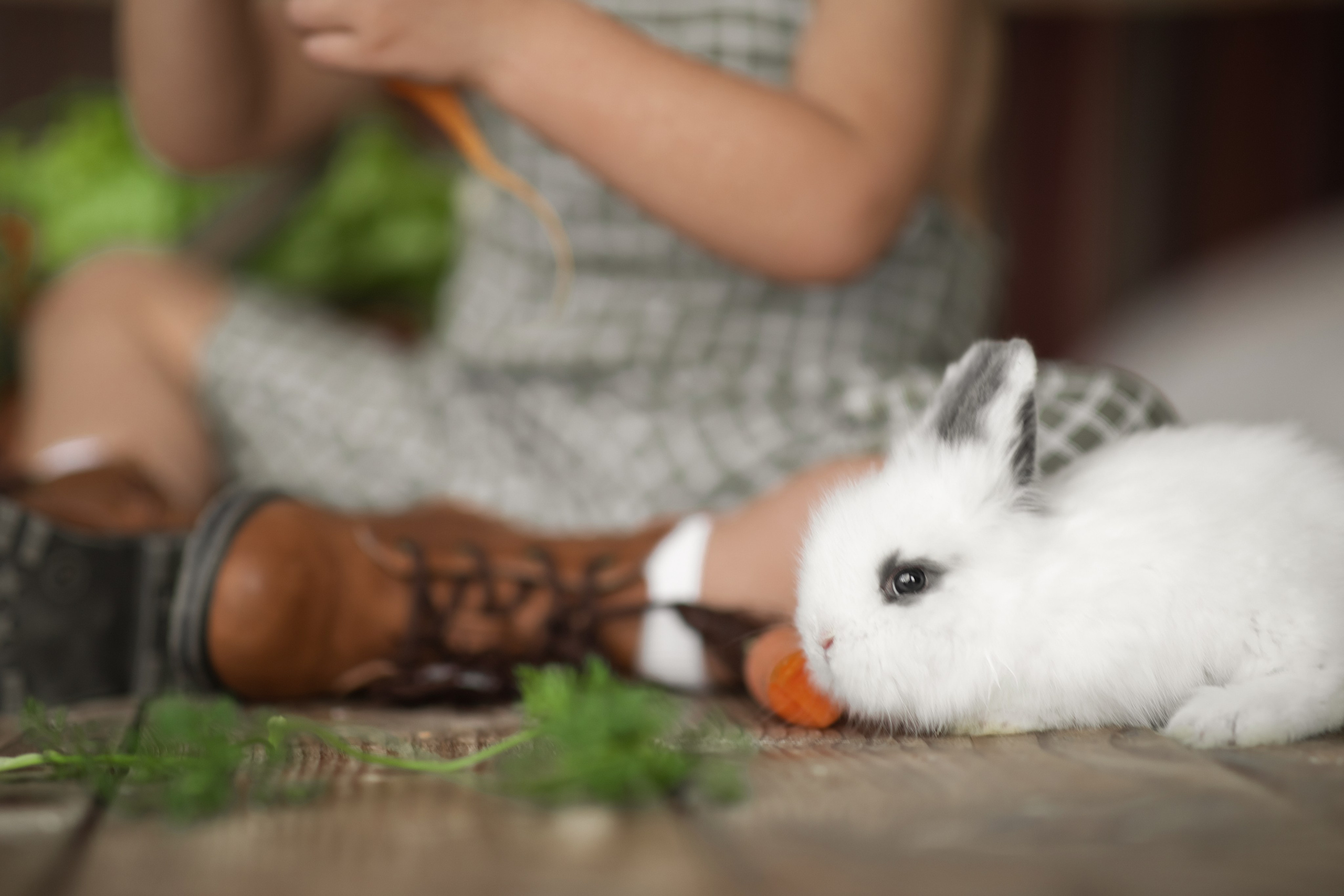 Maxim si Nicolae. N.D.photograph - fotograf de familie și portrete în Republica Moldova