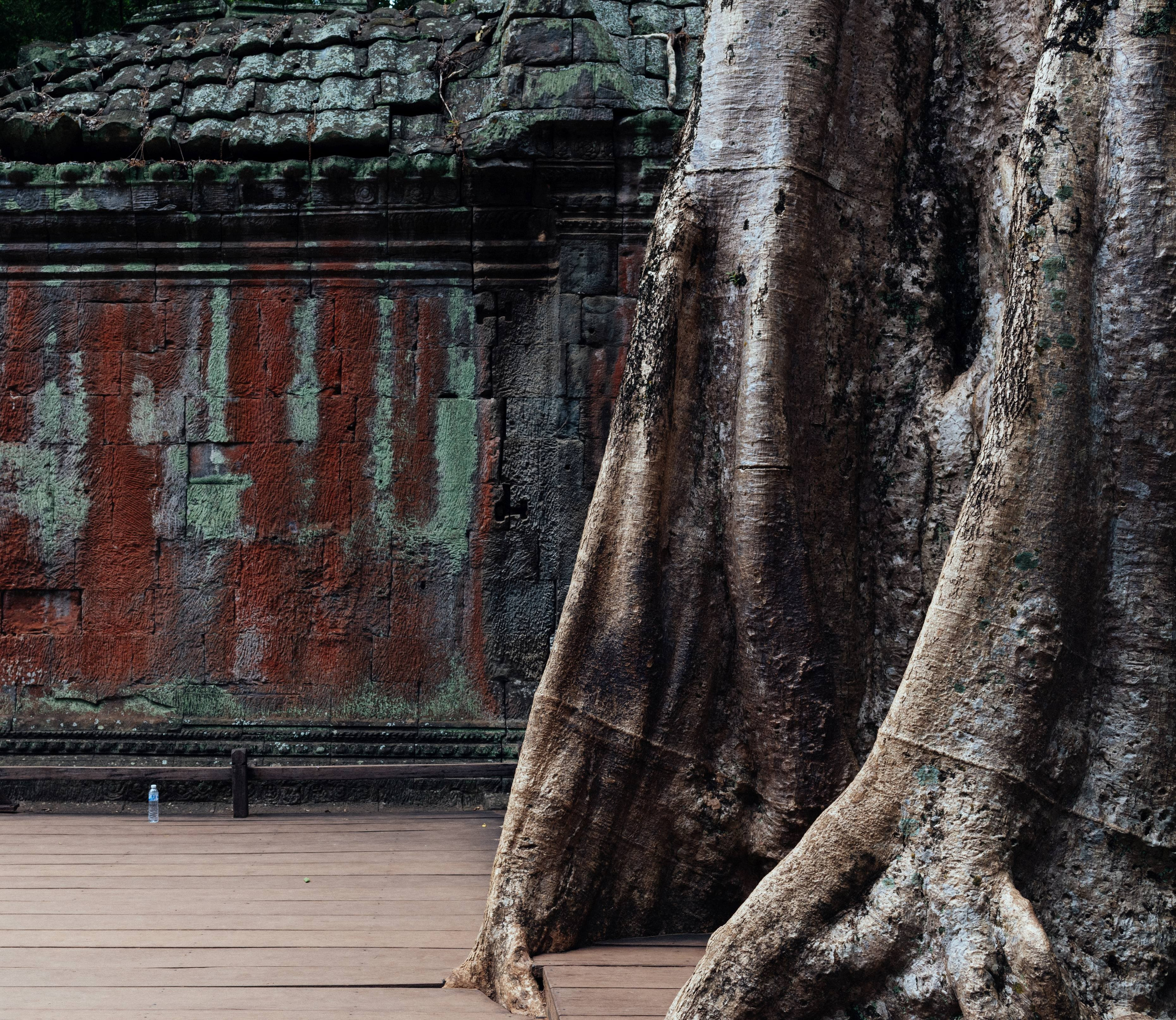 Cambodia. Artjom Kutuzov Photography