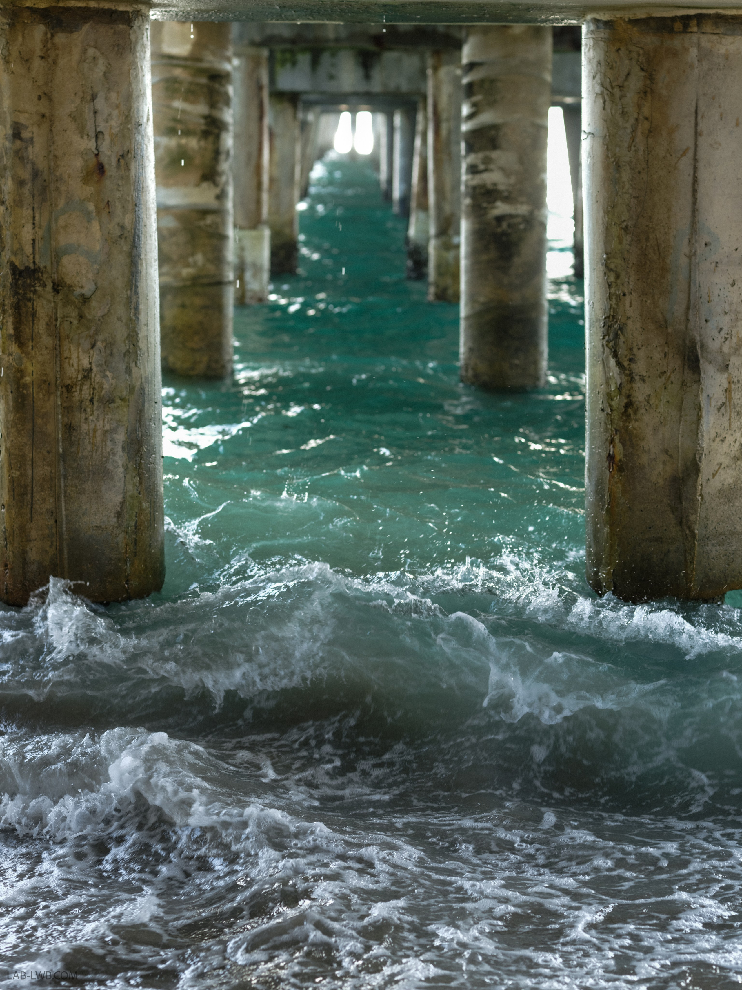 JADA AND RAZ. Florida destination wedding photographer
