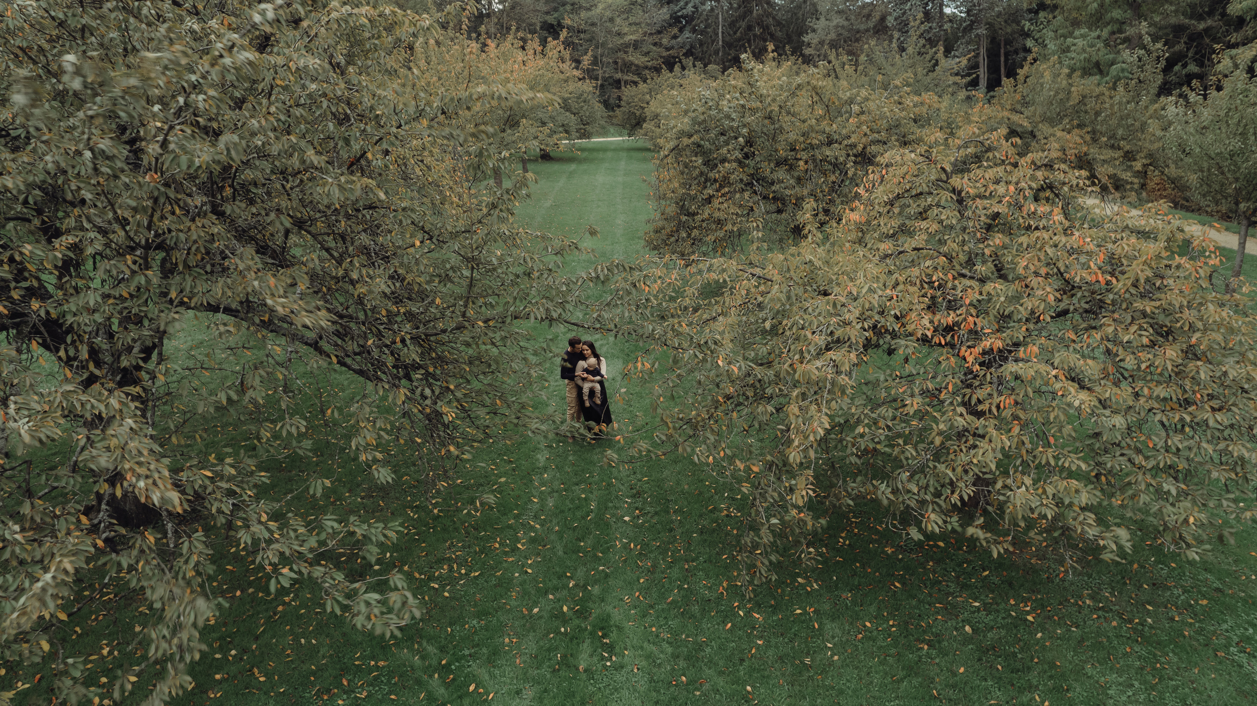 Andrei&Elison | Paris. Wedding Photographer Paris|Franta