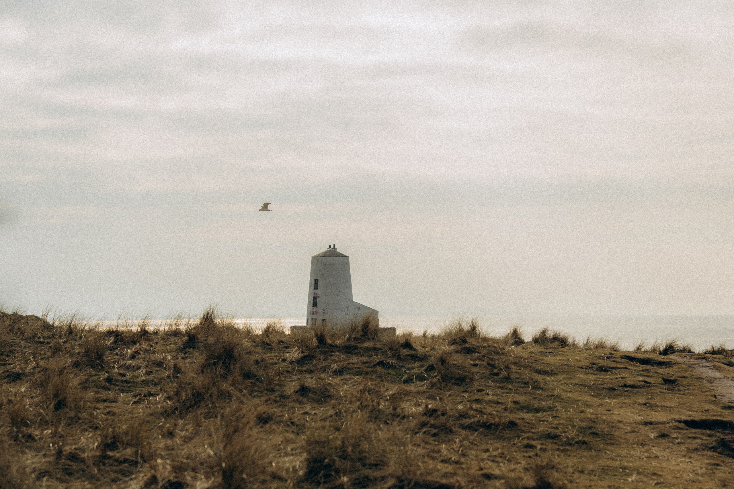 M & C session in Wales. Tania Gandrabur, photographer in West Midlands, England