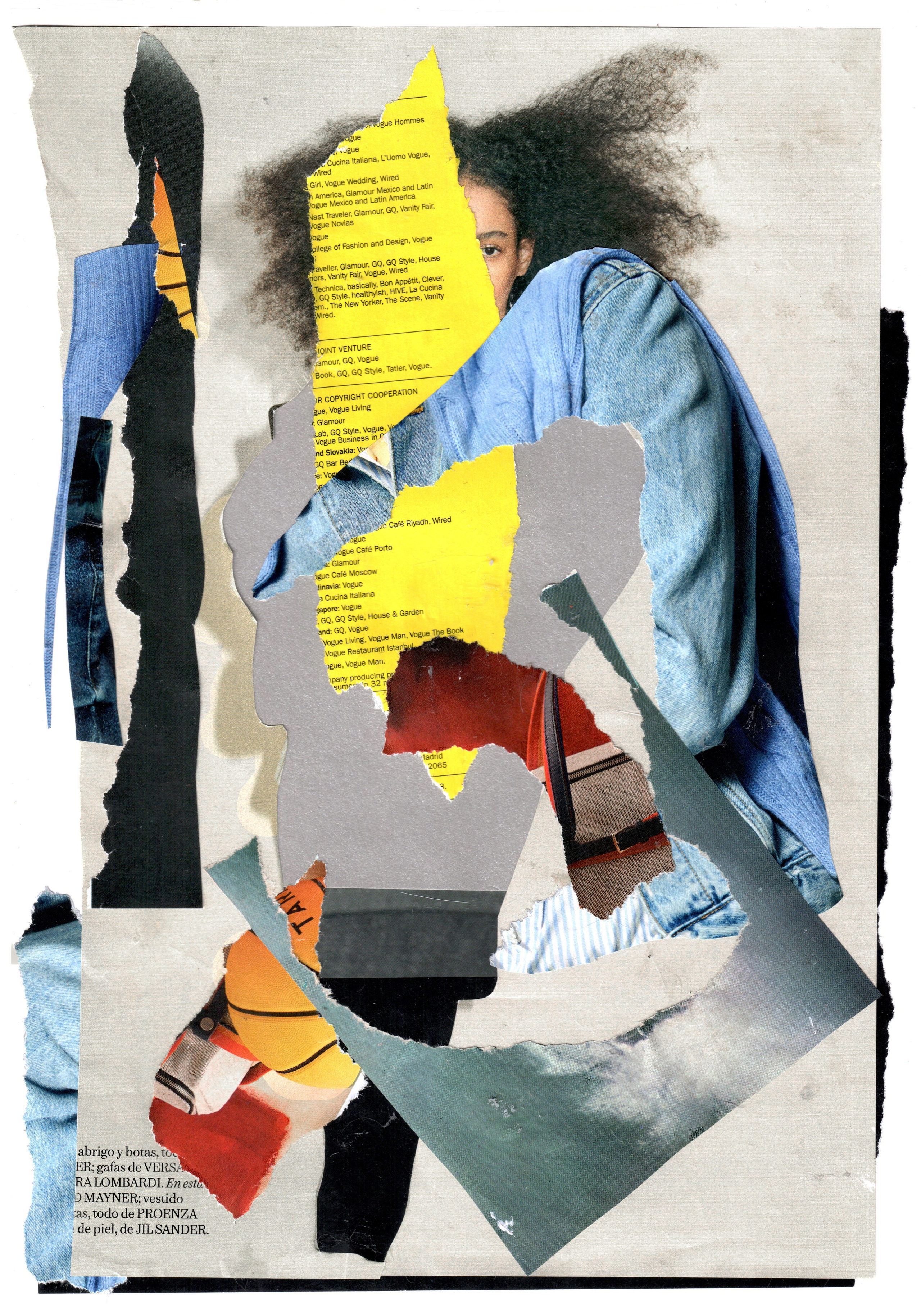 Рина Луковникова. Художник-коллажист