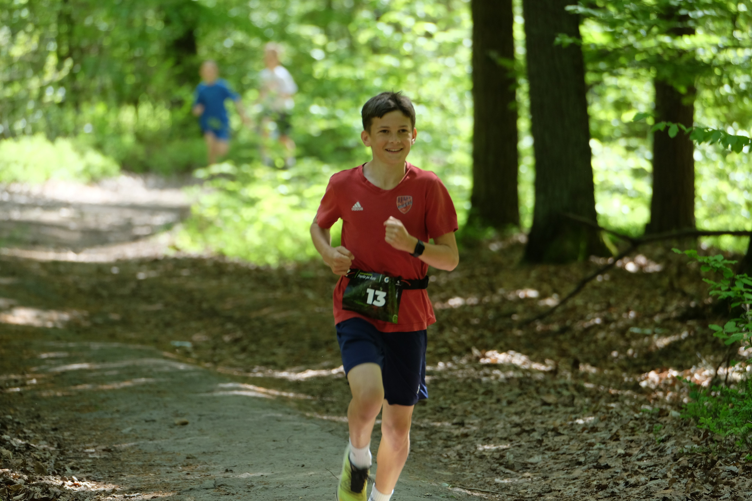 Aleksandryjska Piątka po lesie. Main