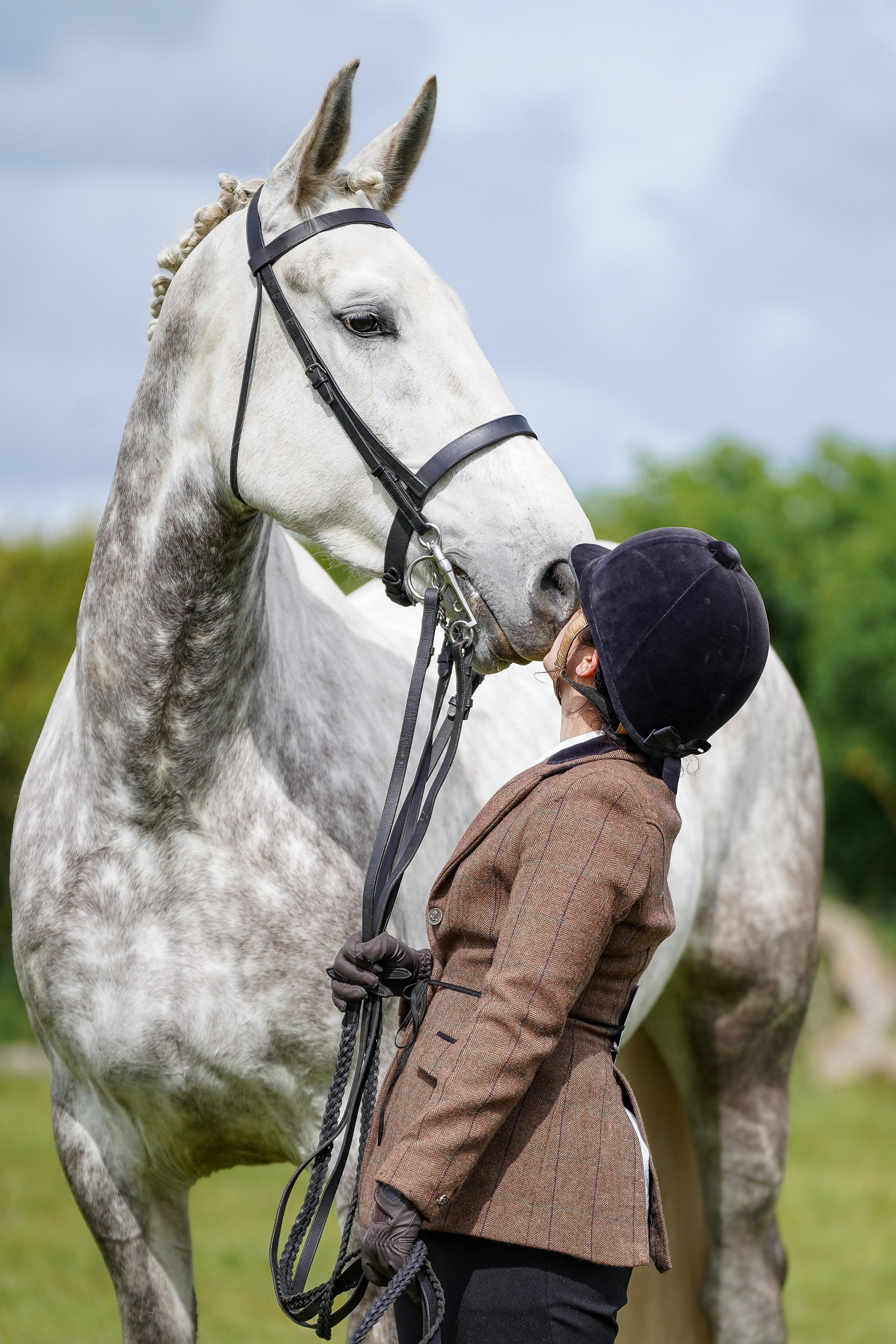Showing. Leicestershire Equine Photography by El | Authentic Equine Portraits & Events