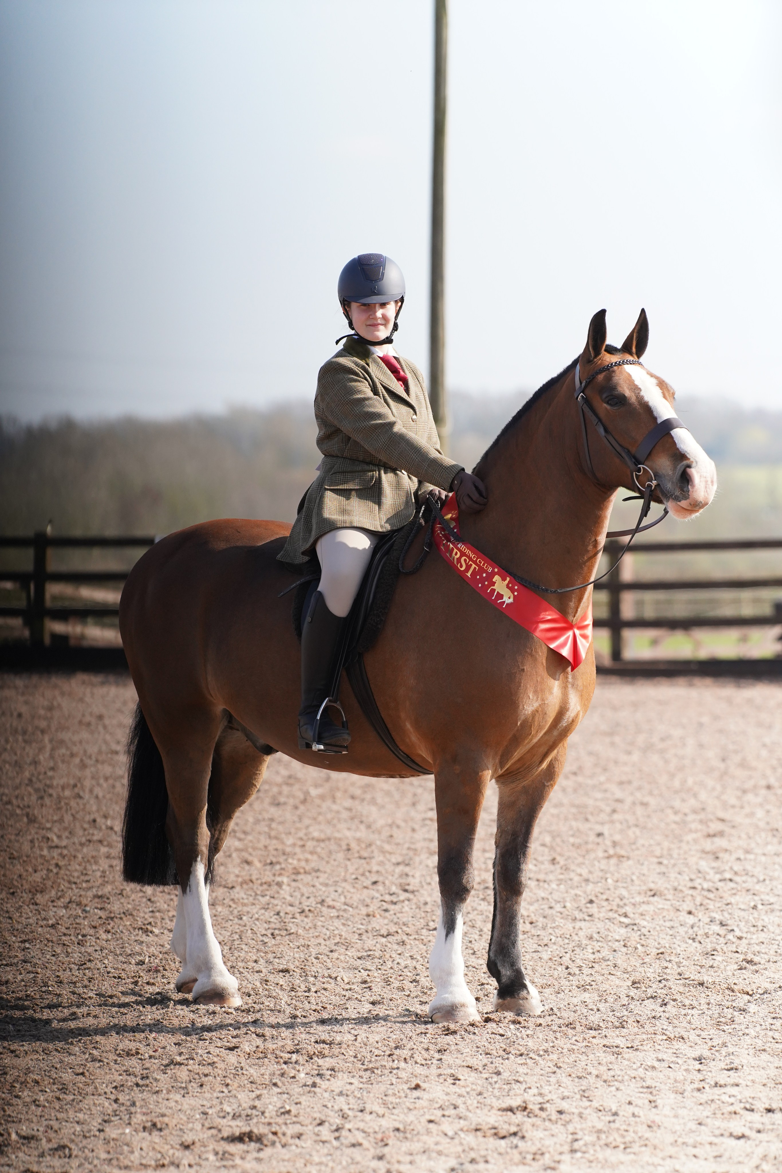 Showing. Leicestershire Equine Photography by El | Authentic Equine Portraits & Events