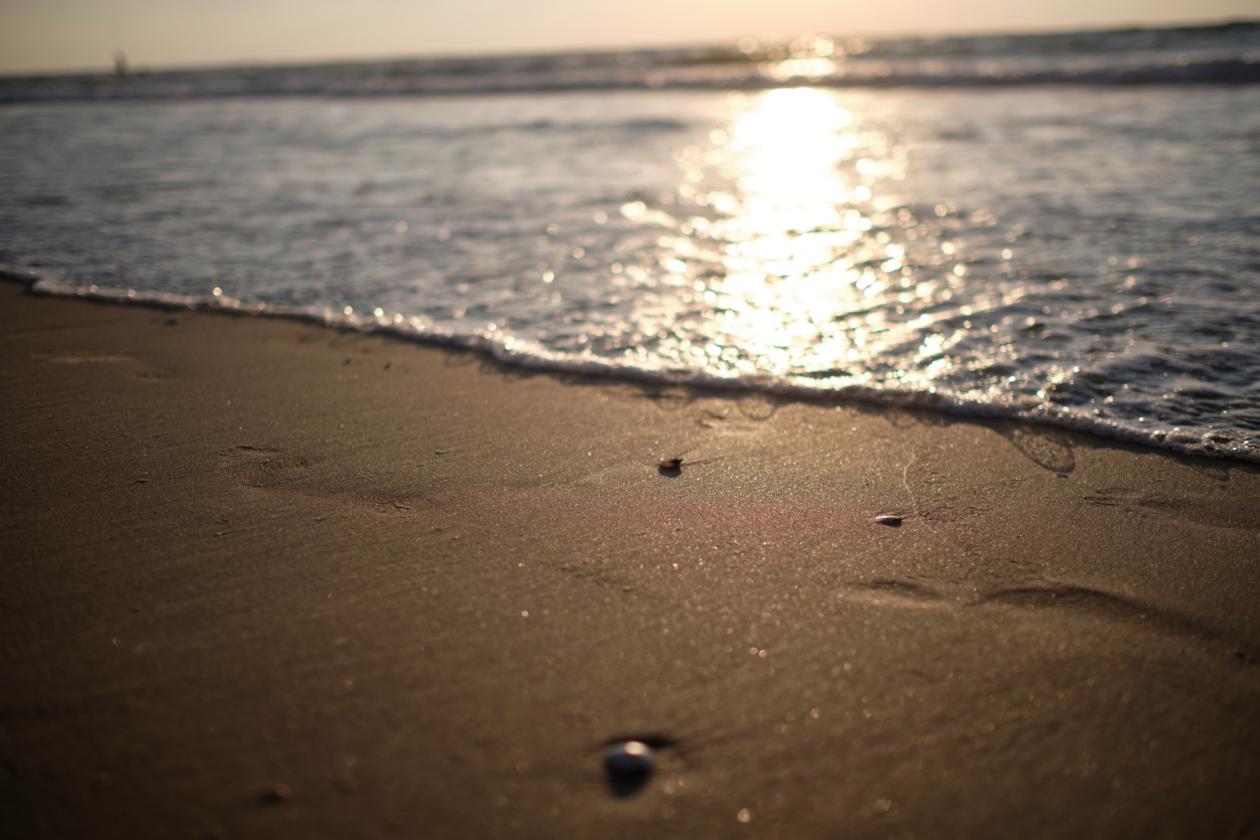 Eugene&Sasha Series. צלם אלכס ברט בישראל