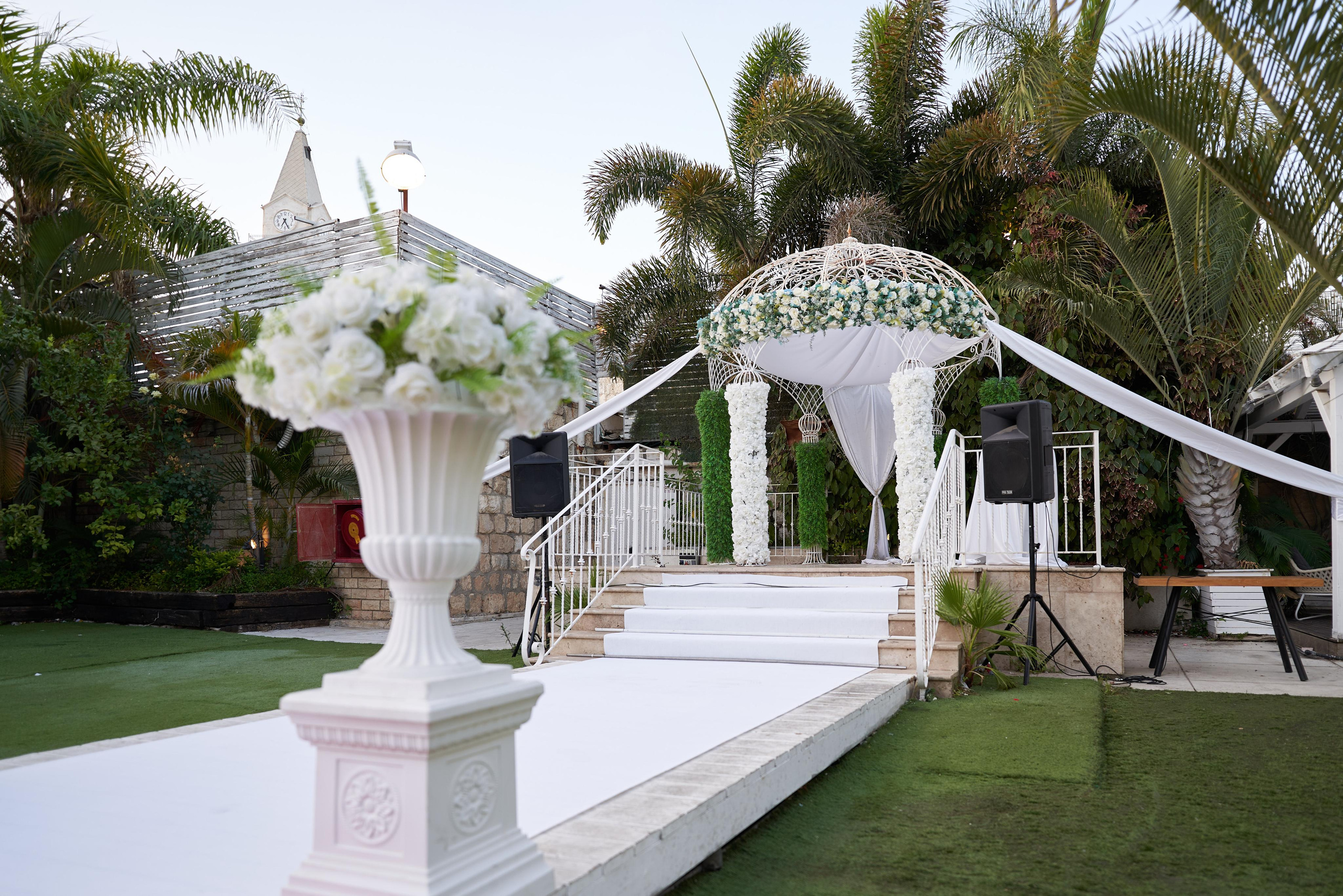 Achnaf&Mulo Series. צלם אלכס ברט בישראל