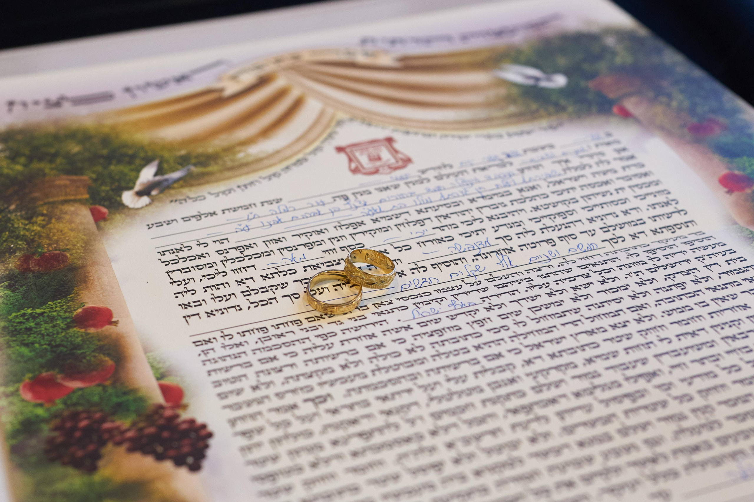 Achnaf&Mulo Series. צלם אלכס ברט בישראל