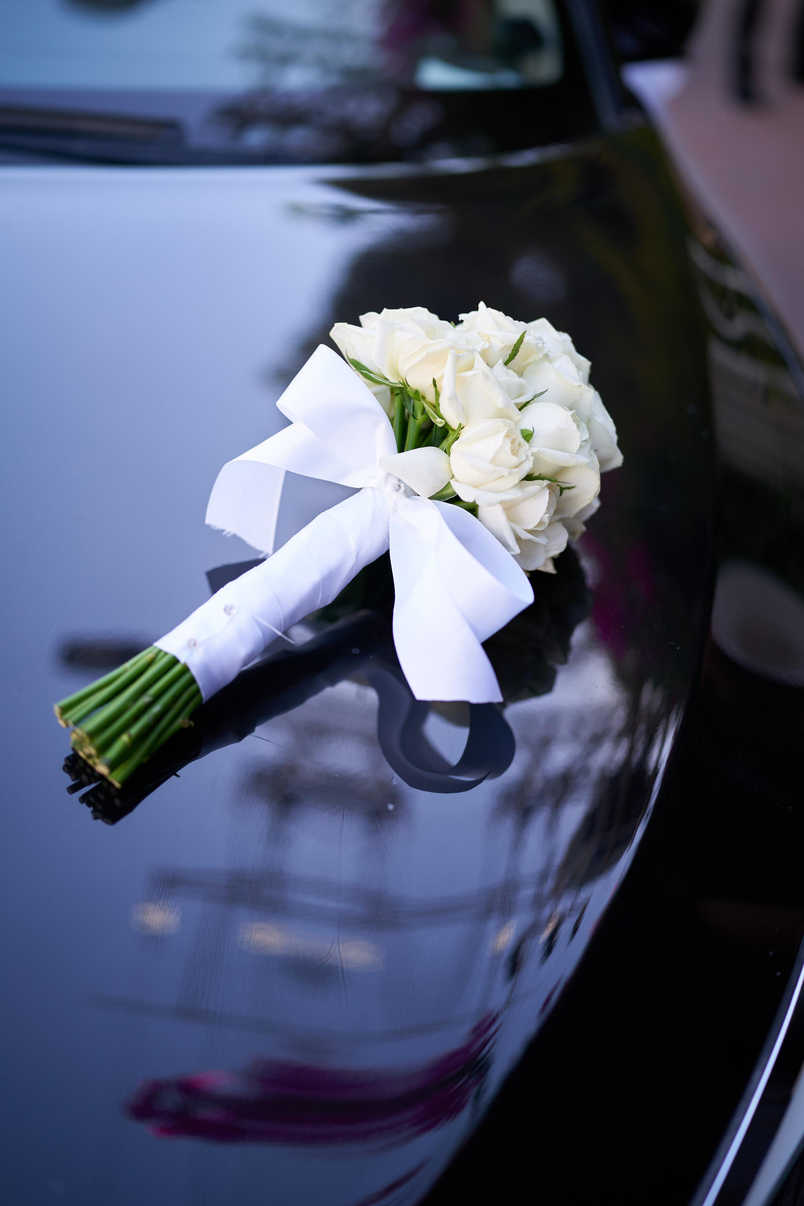 Achnaf&Mulo Series. צלם אלכס ברט בישראל