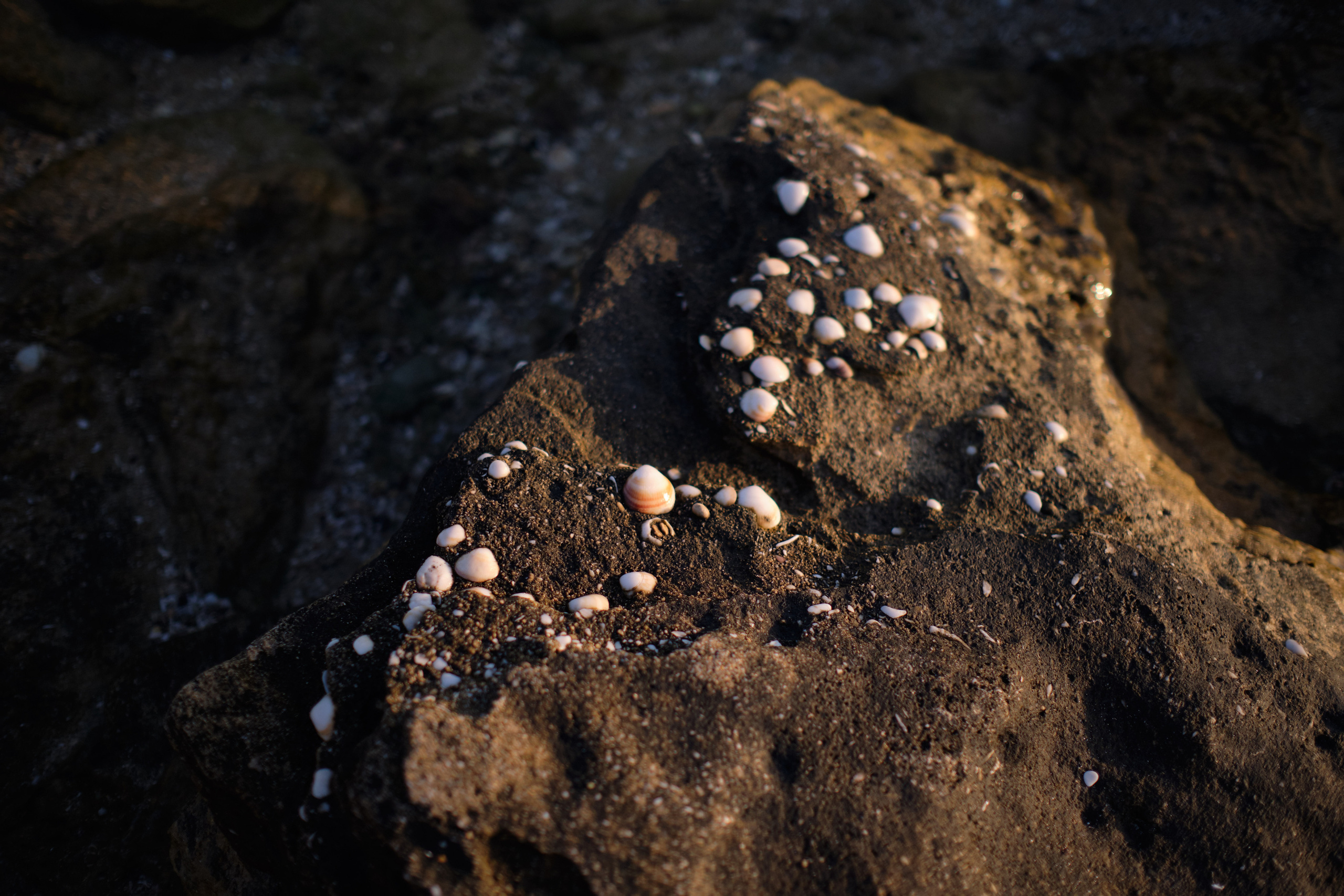 Eugene&Sasha Series. צלם אלכס ברט בישראל