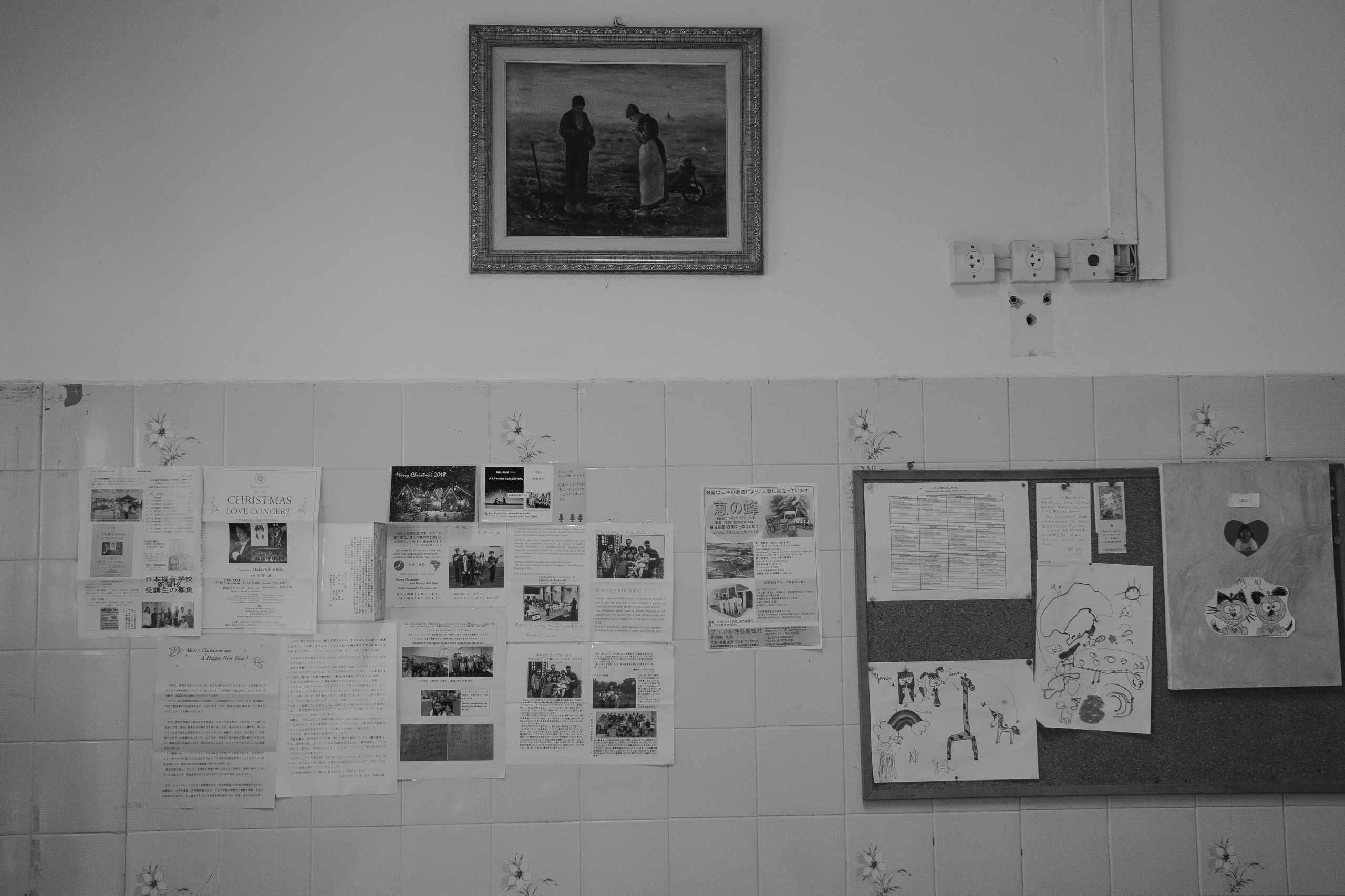 Documental Família Shimizu