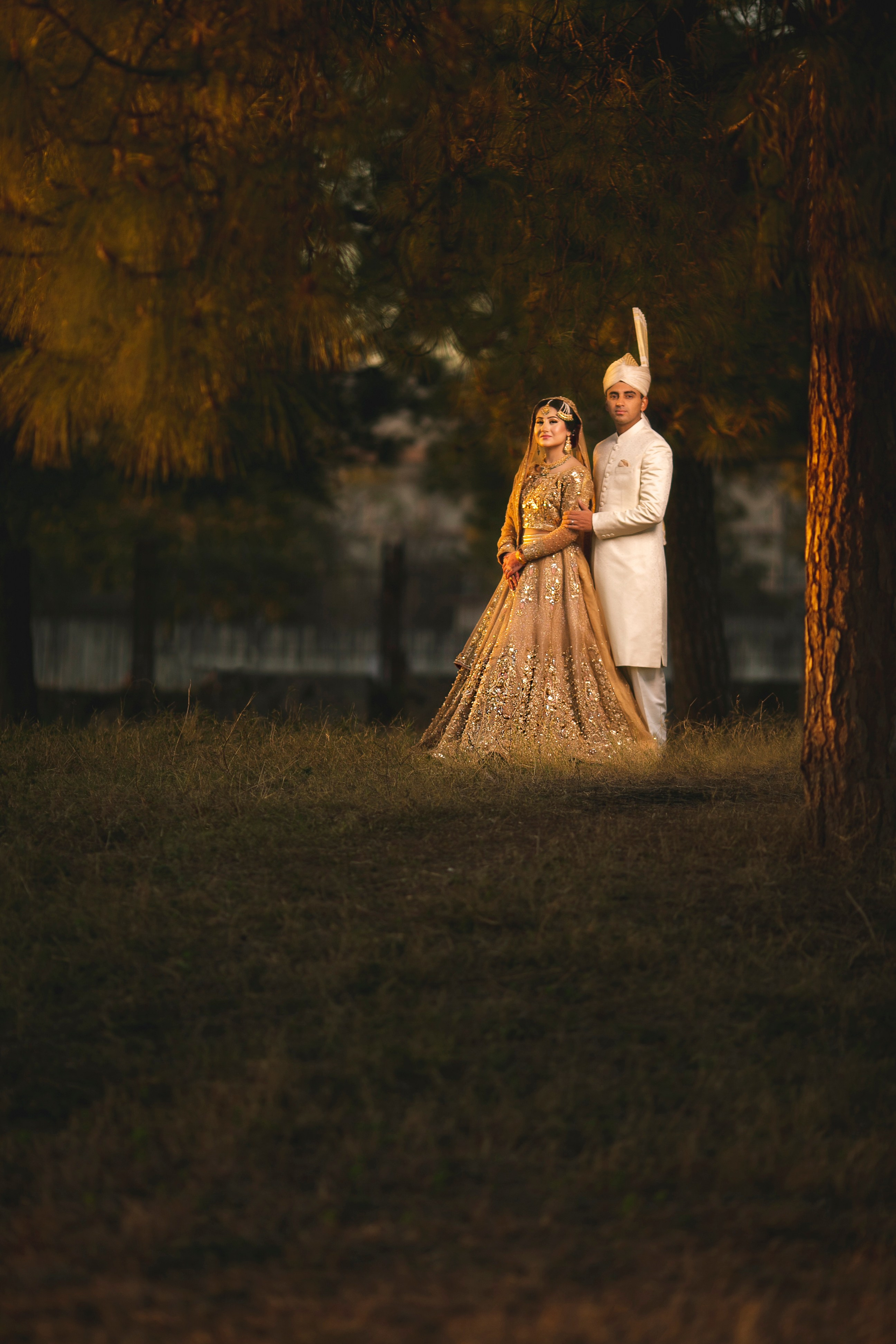 Portfolio. Chaar Bhai — Your Personal Family Historians