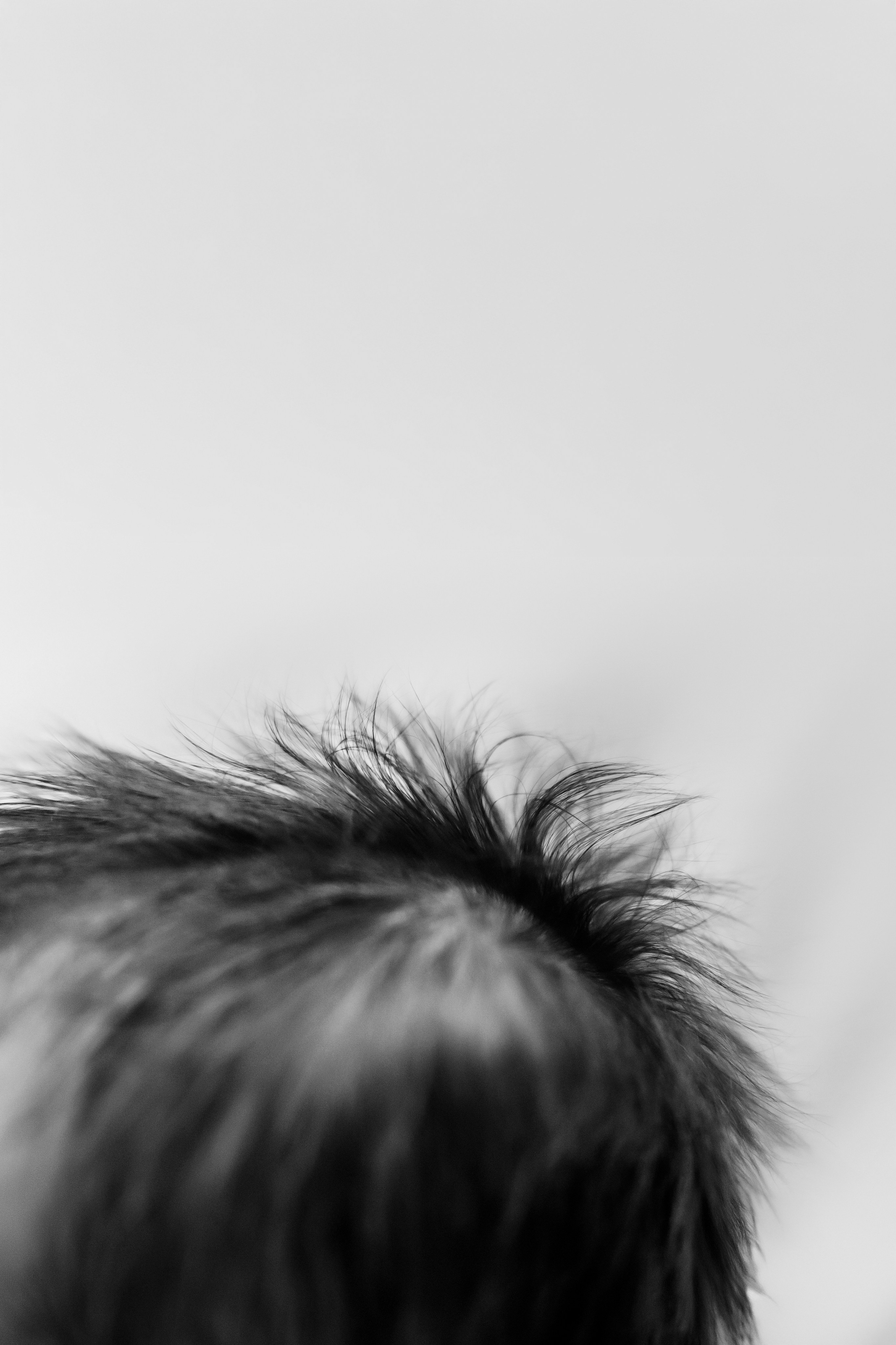 Baby Girl. Фотограф Ирина Йотова