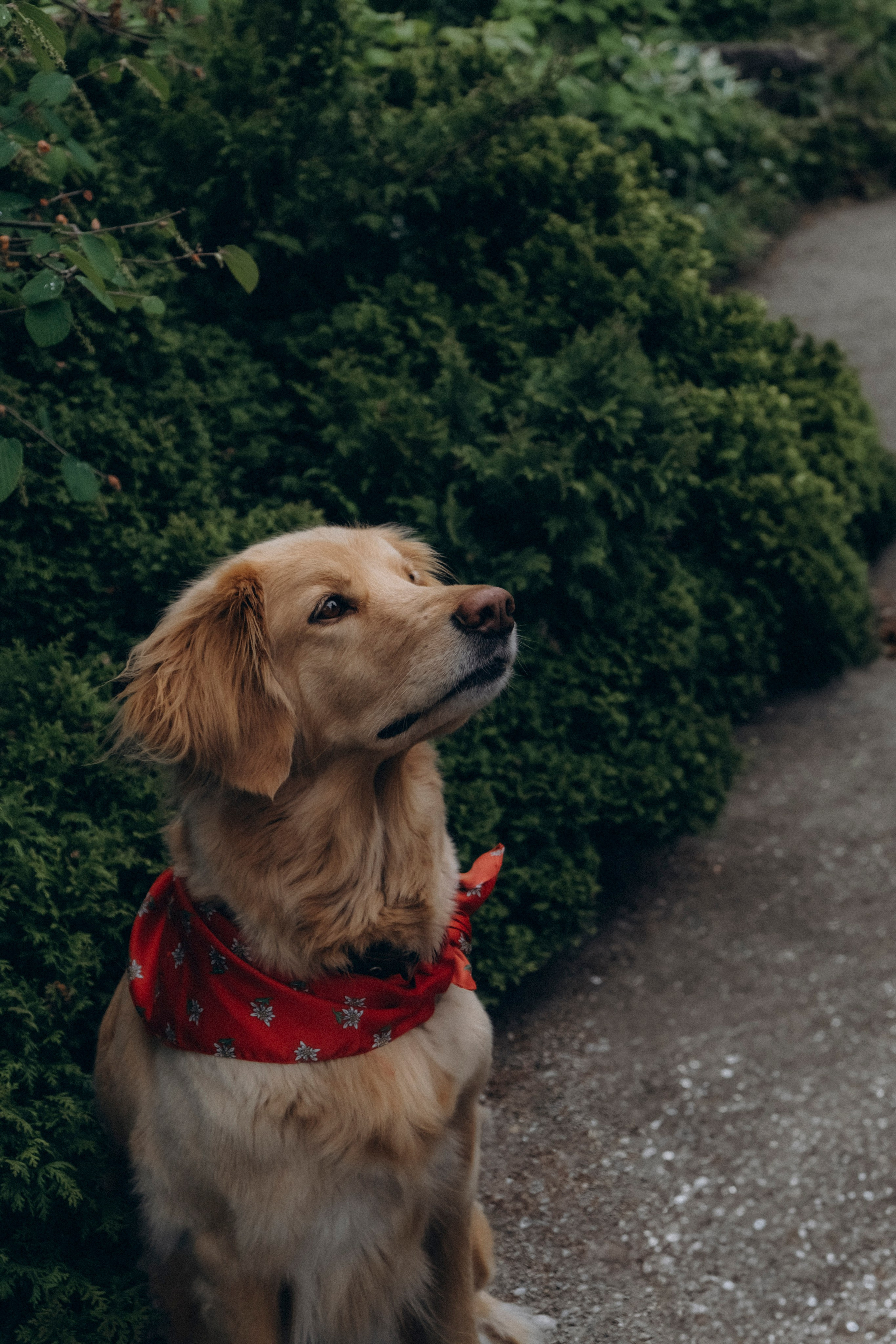 Three generations & one tail. Фотографы Минск и мир