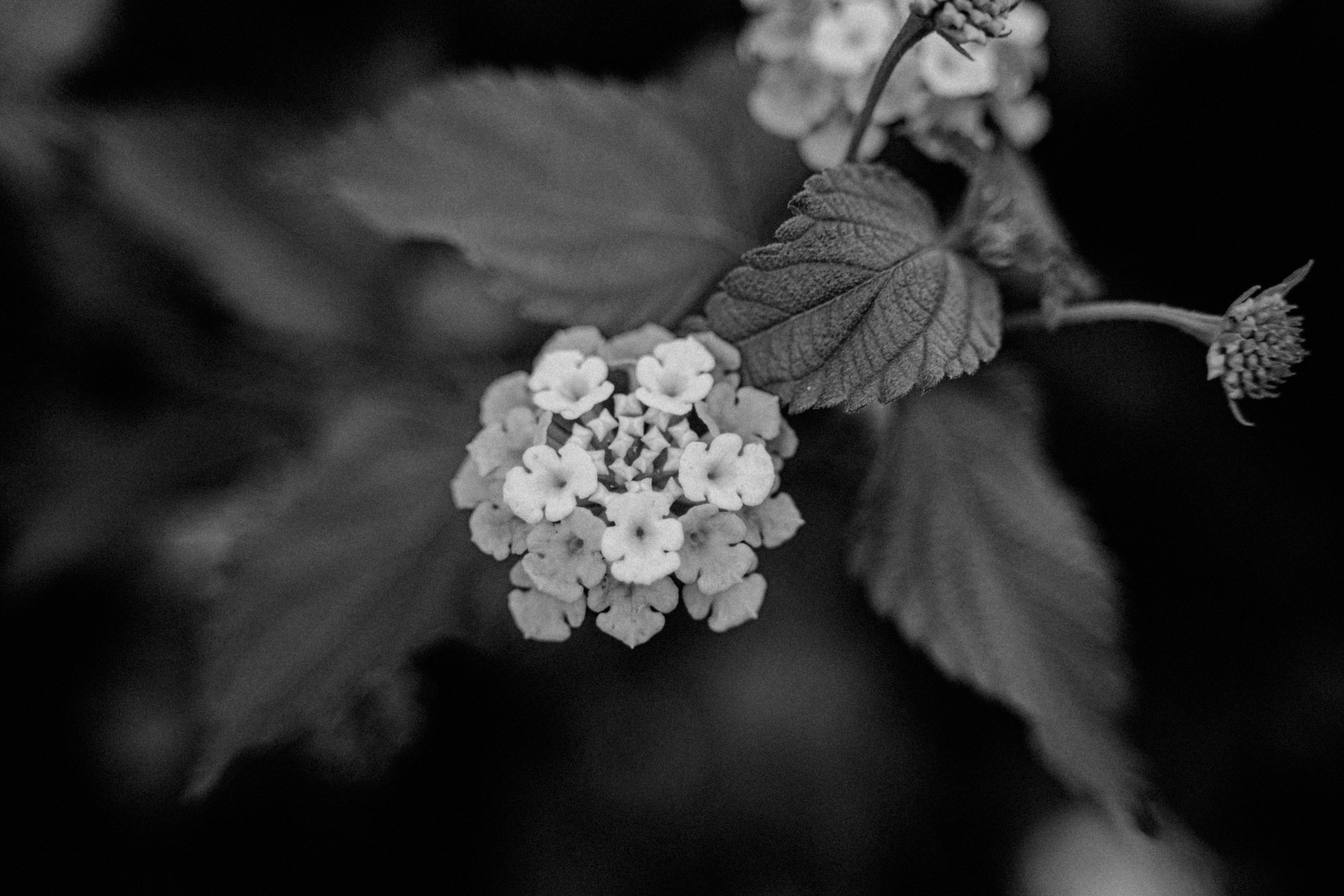 Authentische und emotionale Familienfotos in Landshut und Umgebung