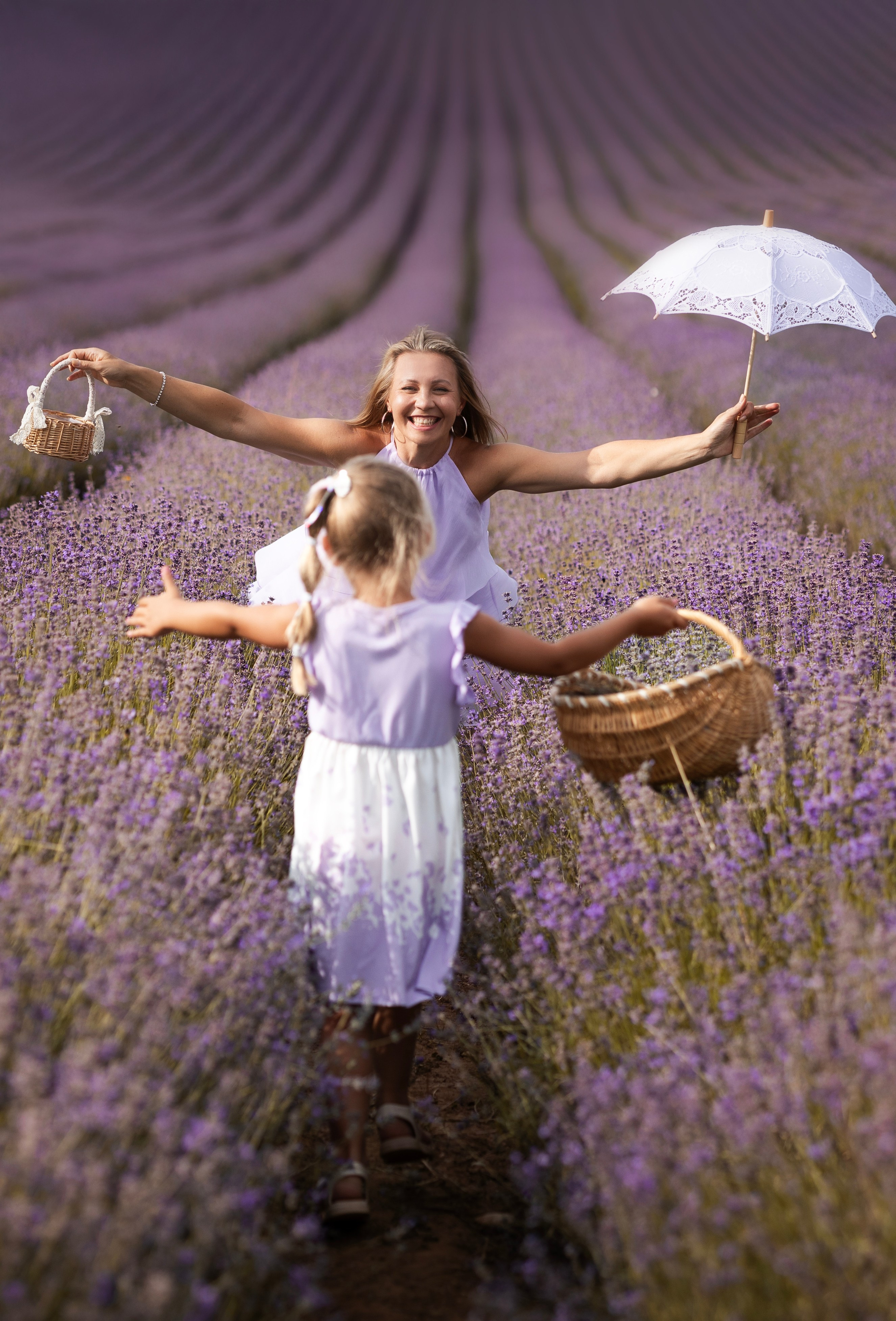 Lavendel. Photographer in Munich