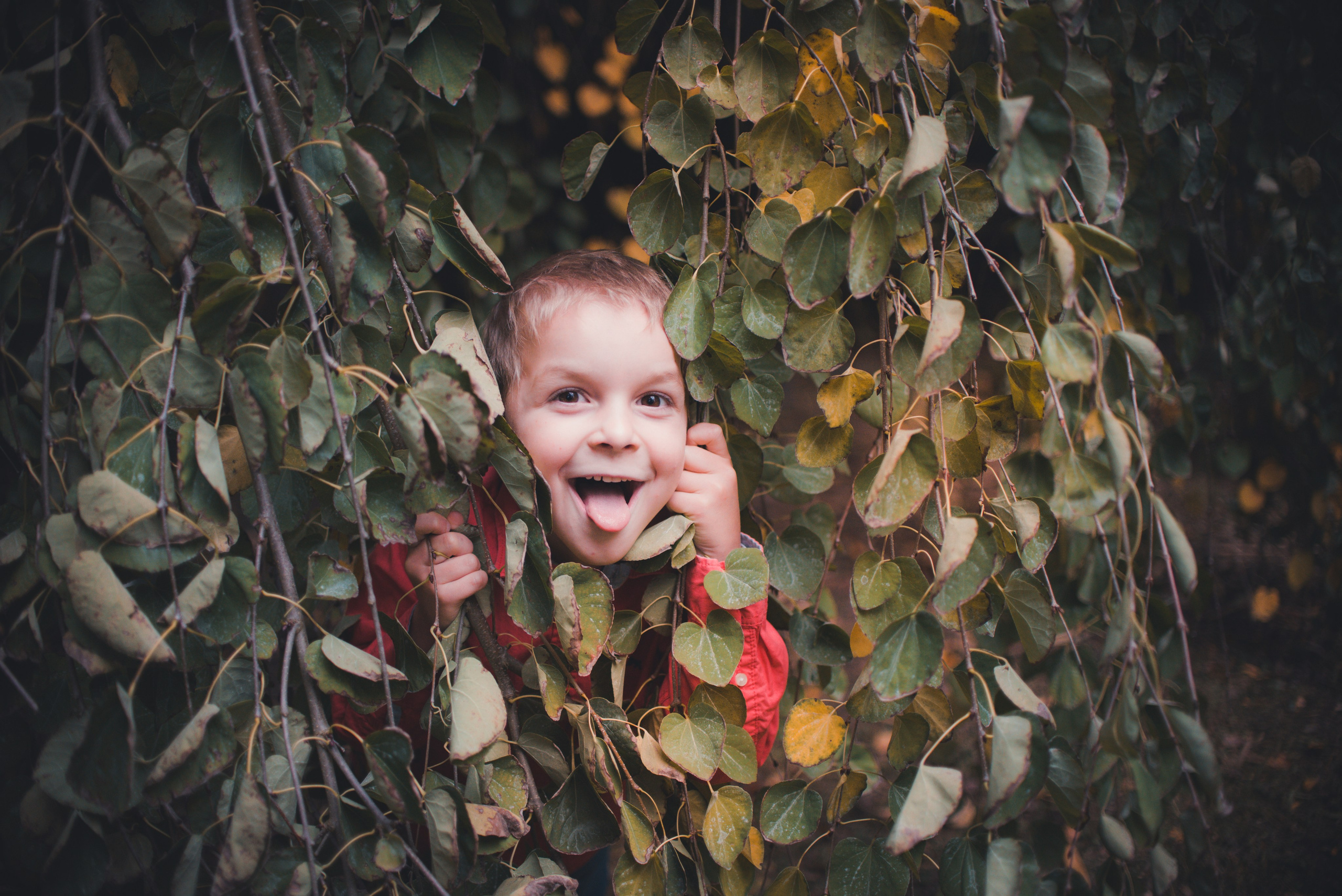 Cenník. Rodinná a svadobná fotografka v Bratislave | Prezrite si portfólio