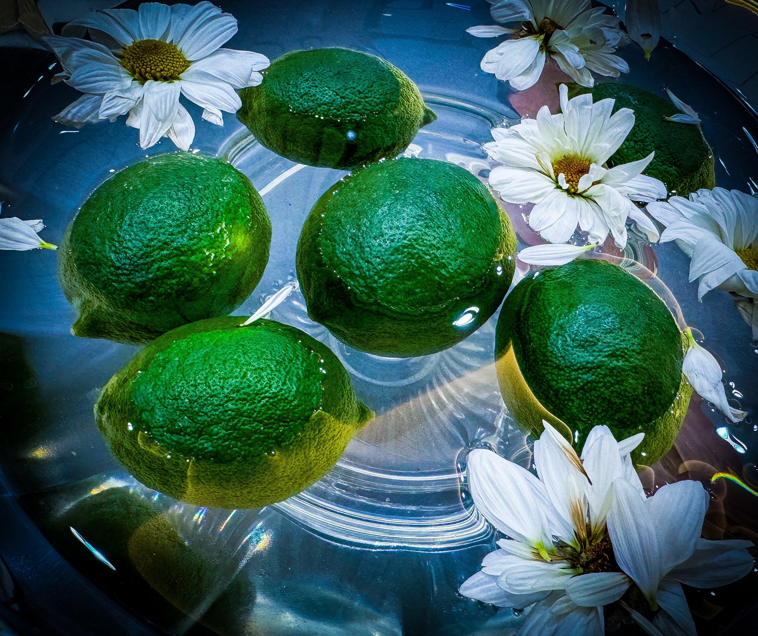 Ästhetik. Fotografin Kati Rebling