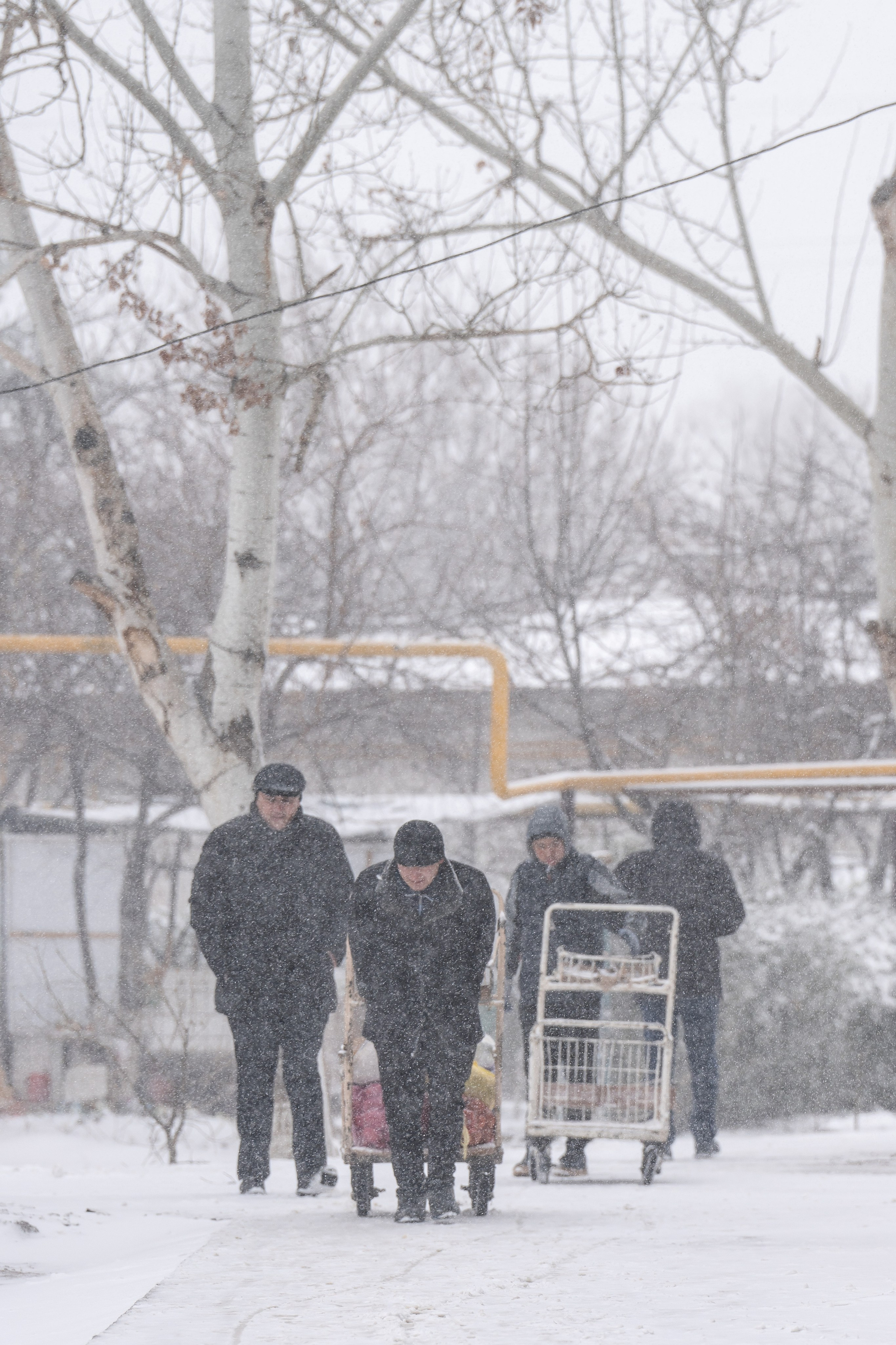 Снег. Георгий Намазов | Фотограф в Ташкенте