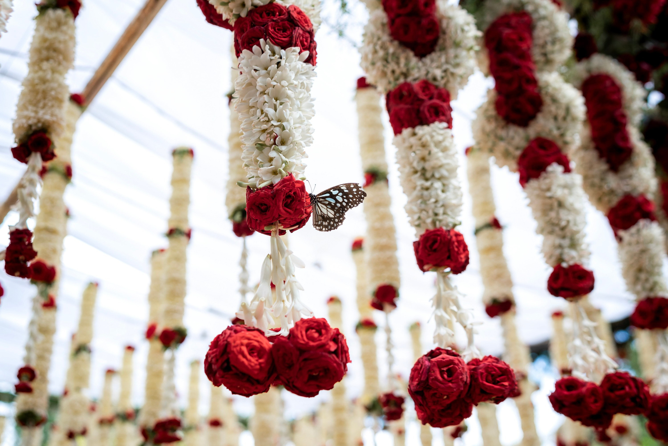 How we see. Truly Yours | Documentary Wedding Photography & Films | Sharath Padaru, Bangalore