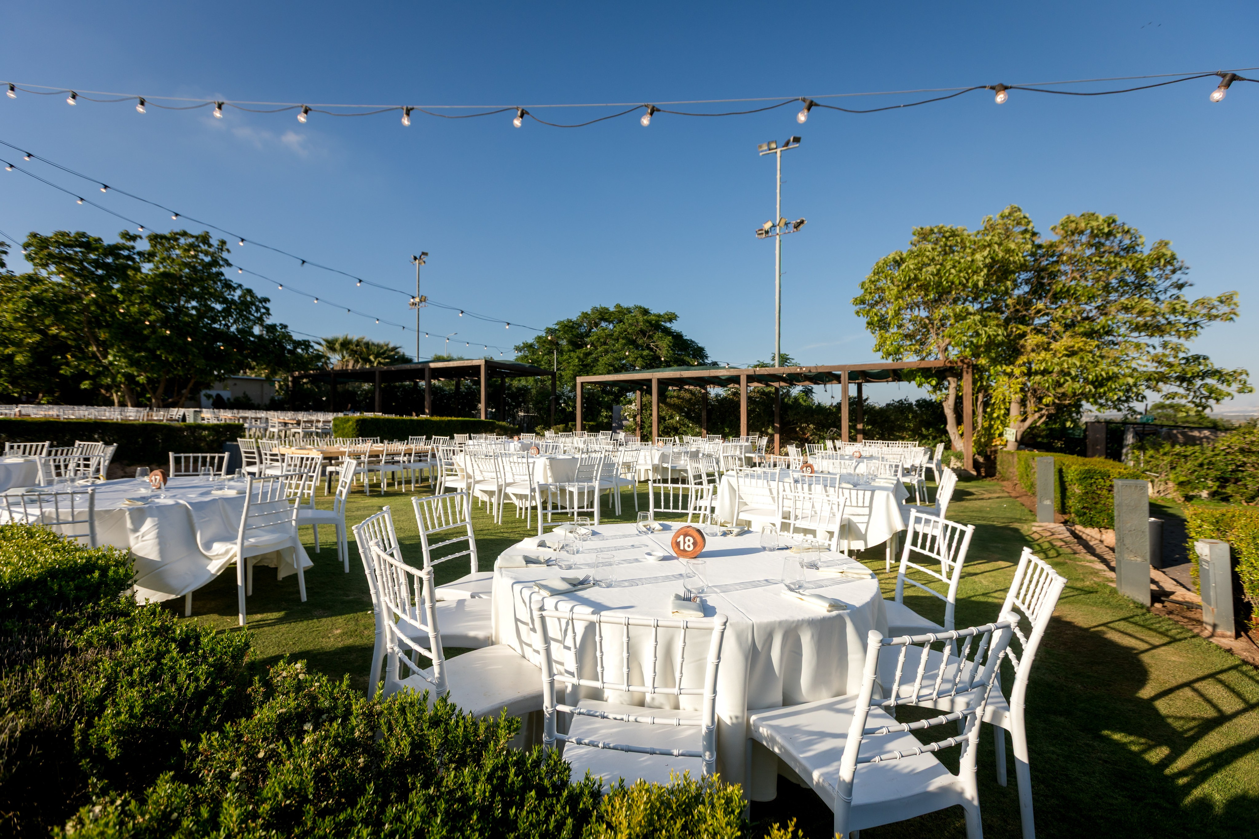 Tamar & Assaf. AMIR BUCHNIK PHOTOGRAPHER