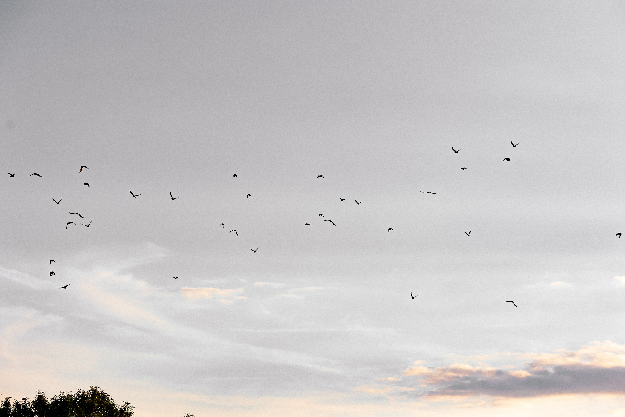 Paula & Ed — Maidstone. August, 2022. Timeless Wedding & Event Photography from London to the world