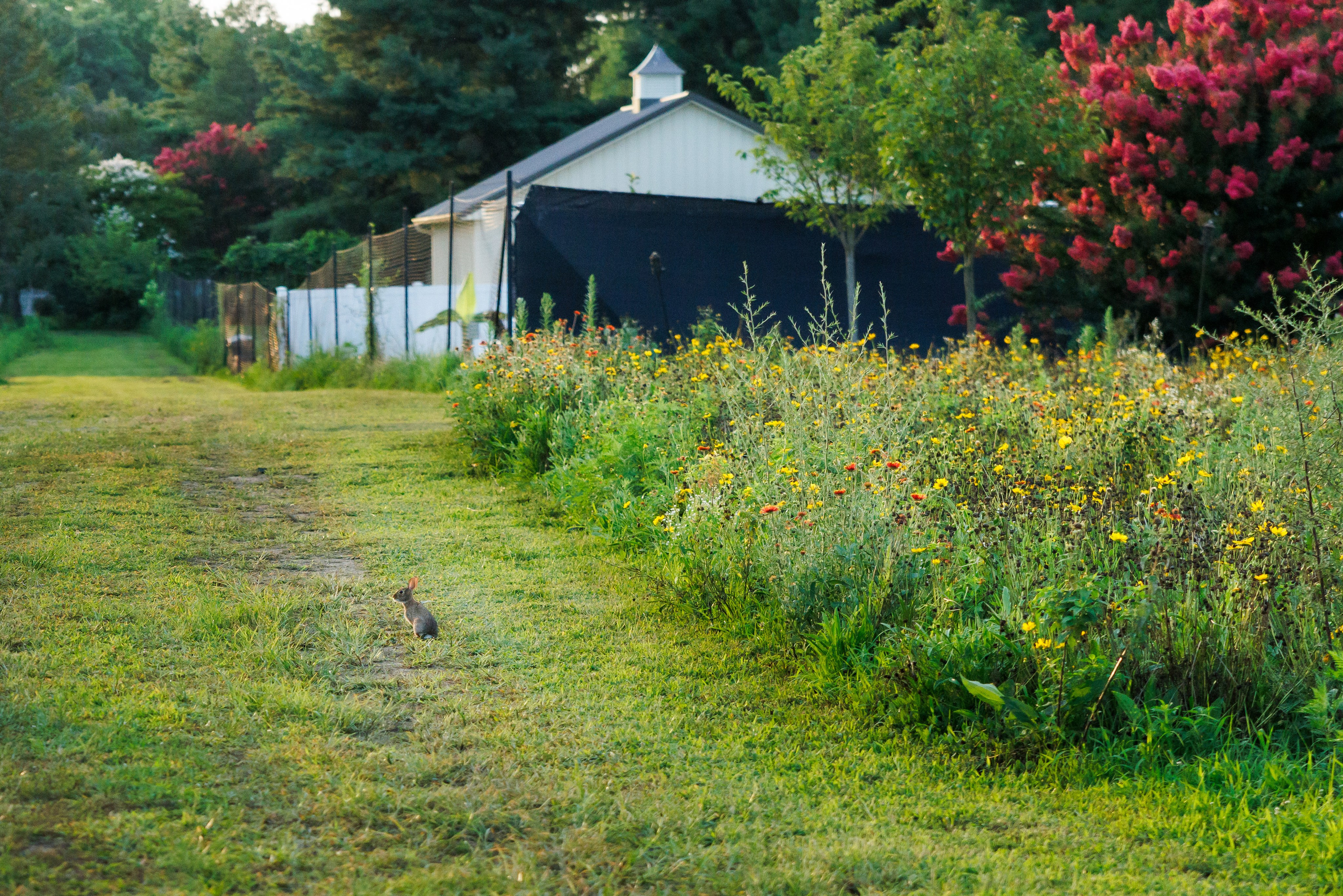 Agata & Eddie. Wedding Photo & Video