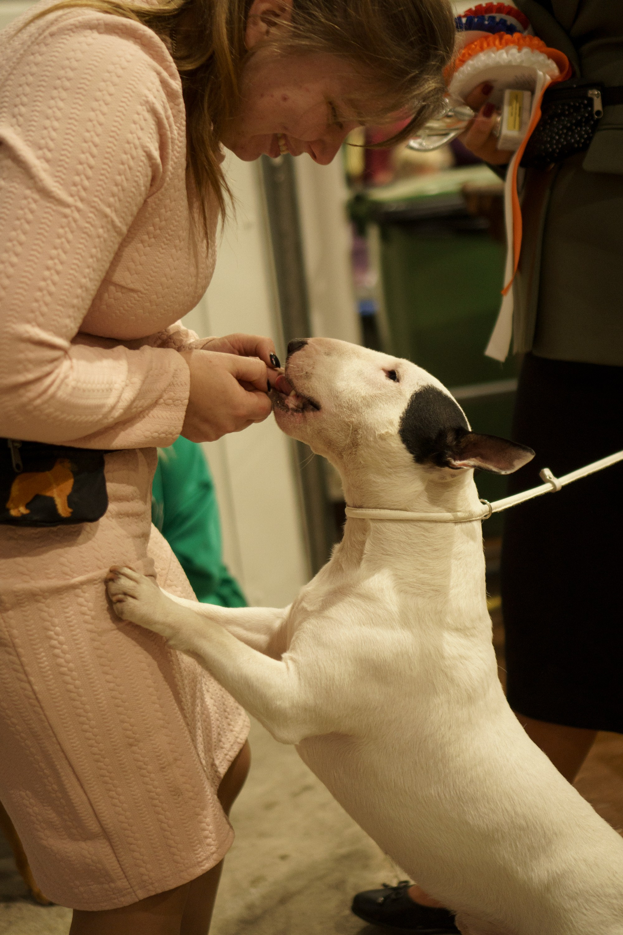 Tartu International Dog Show. Kat Laisaar — Pet photographer in Tallinn