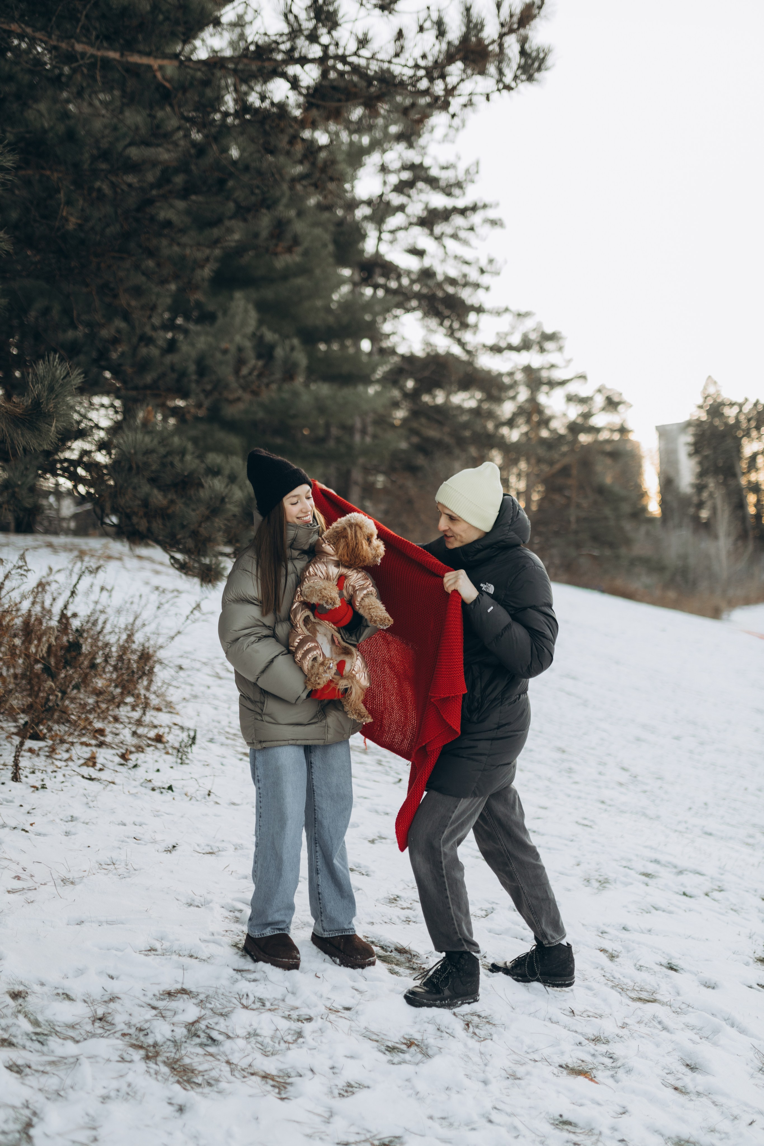 Winter magic. Chernenko.photography