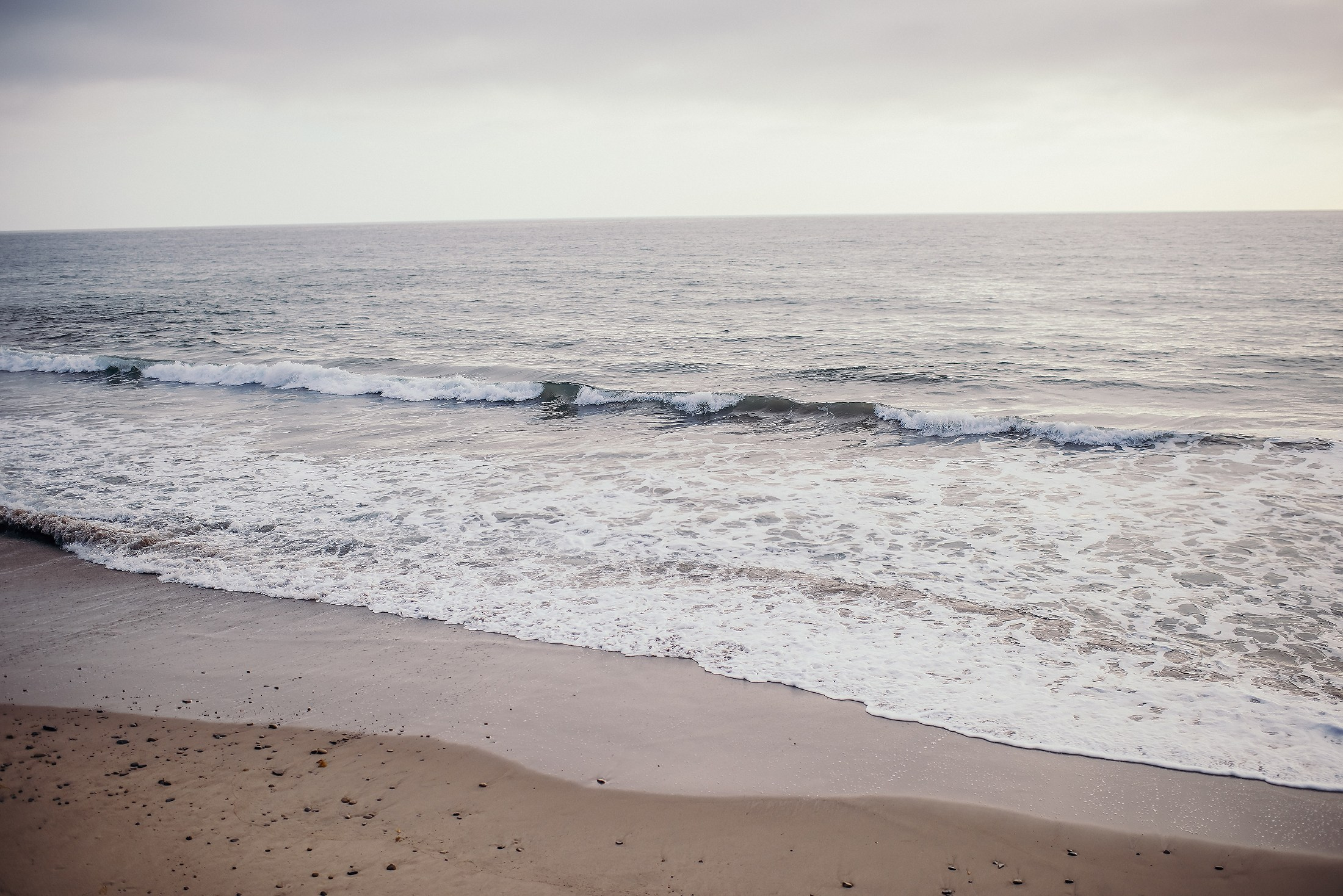 Couples photographer in Charlotte. Wedding, maternity and family photographer in Charlotte Tasha Minn