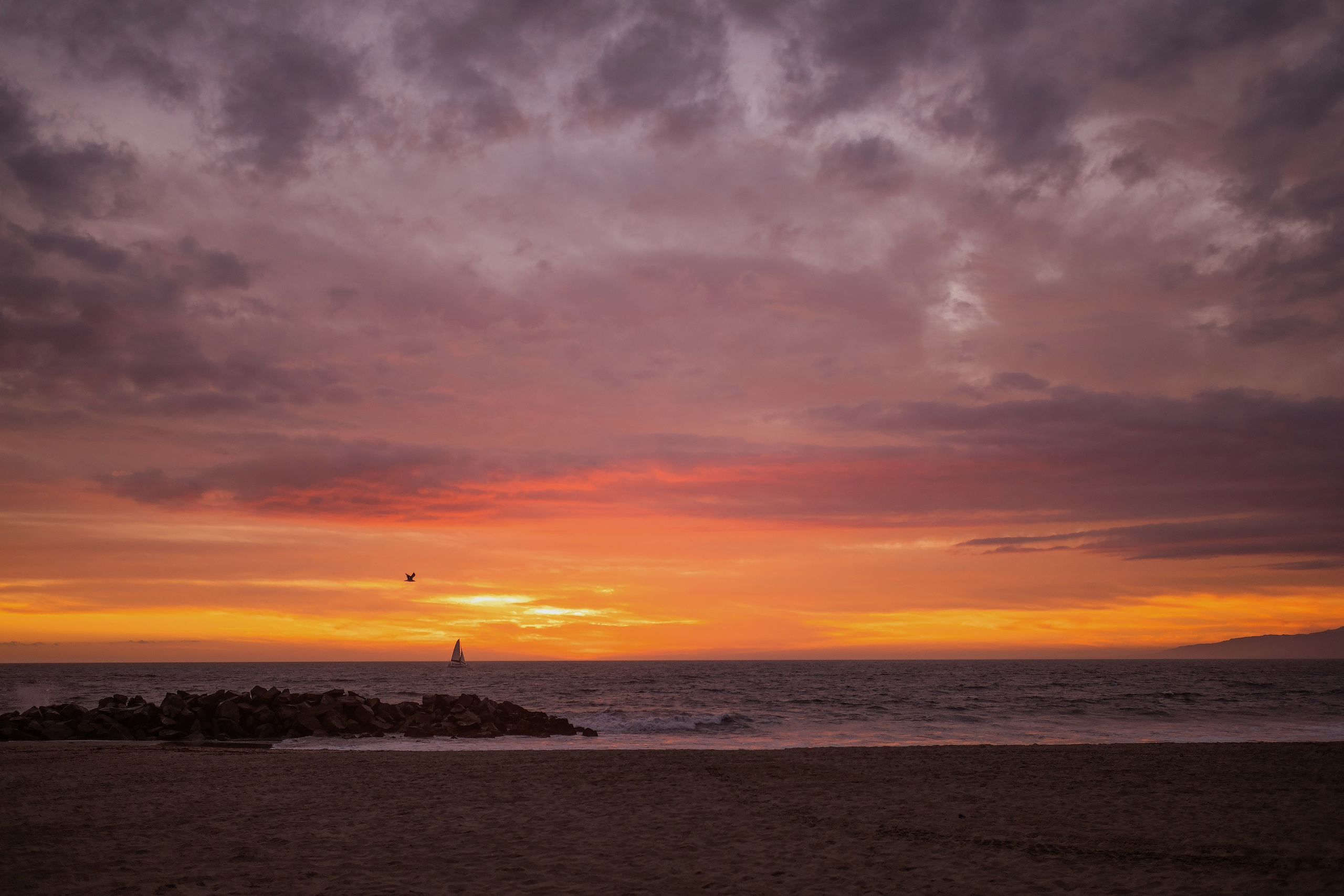 Family photo shoot. Photographer. Wedding, maternity and family photographer in Charlotte Tasha Minn