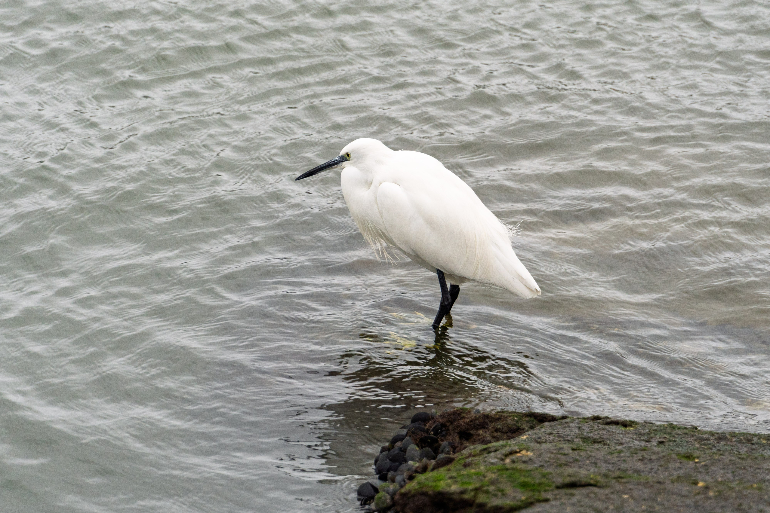 Lisabona 2025. Fotografiideplacere.net