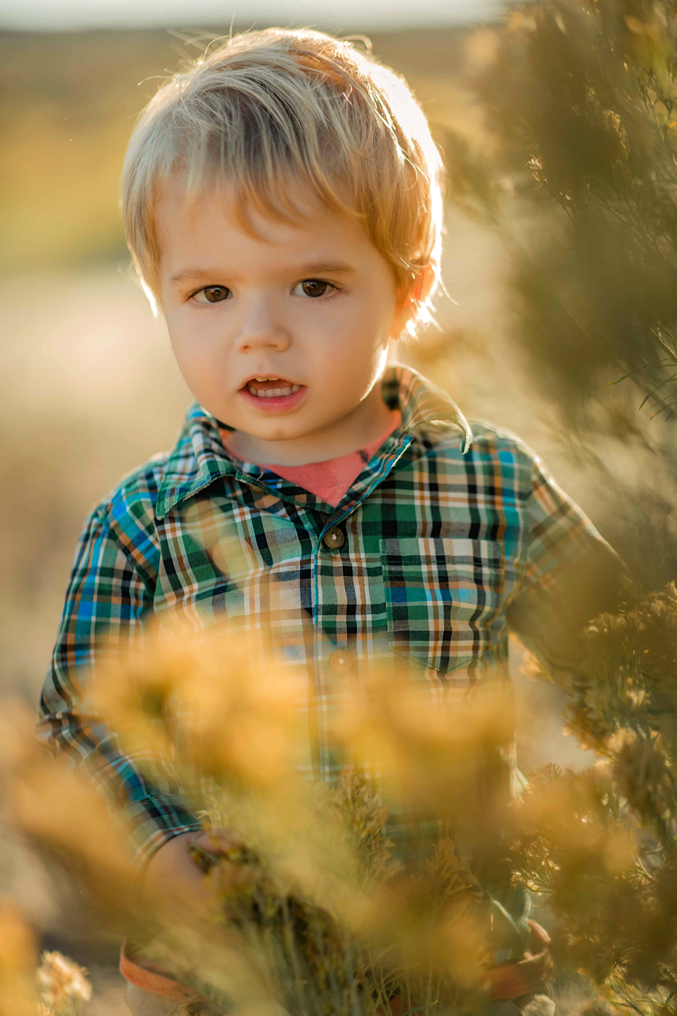 Hayley. Wedding photographer Utah. Weddings, Families, Portraits