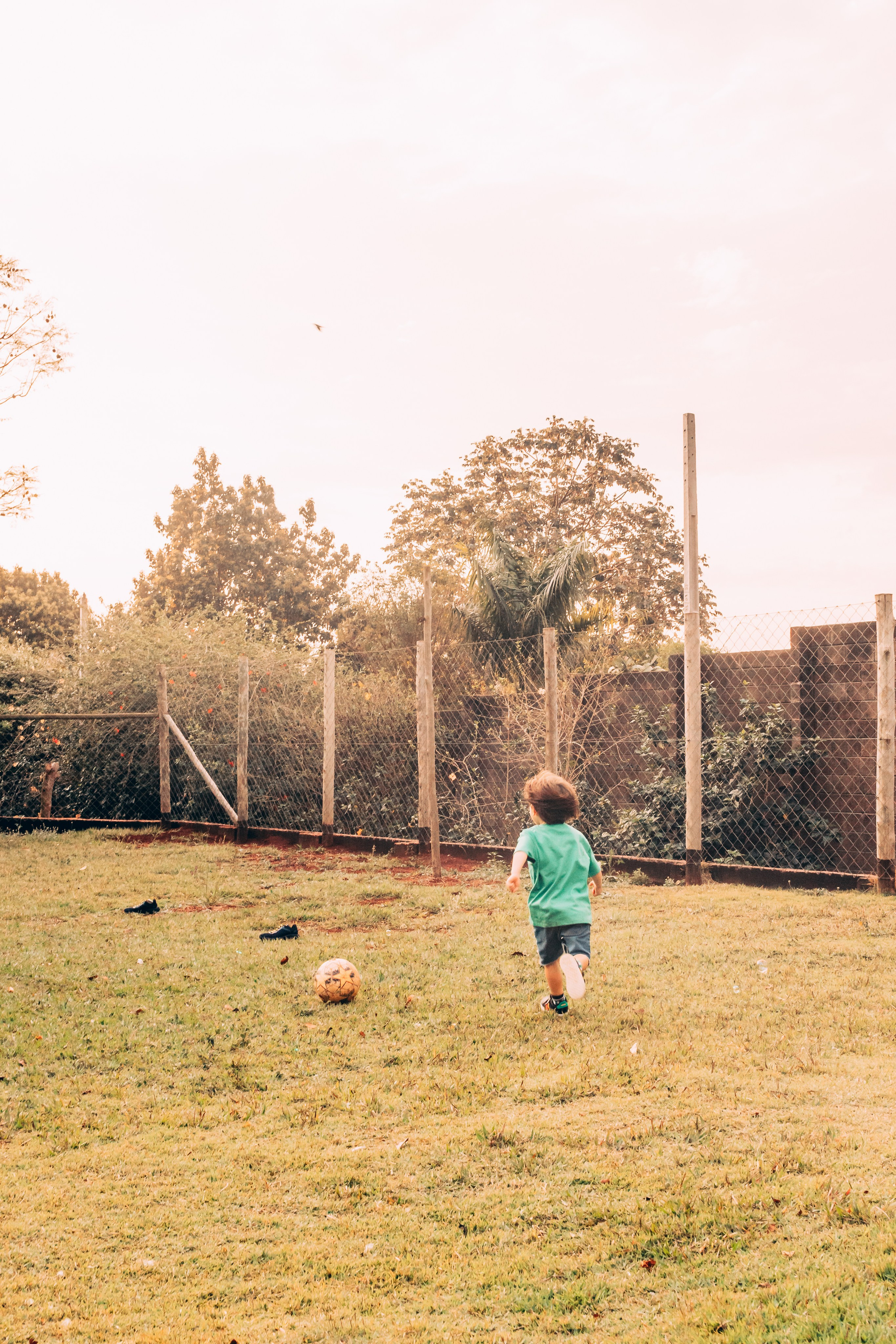 Alice — Aniversário 1 ano. Principal
