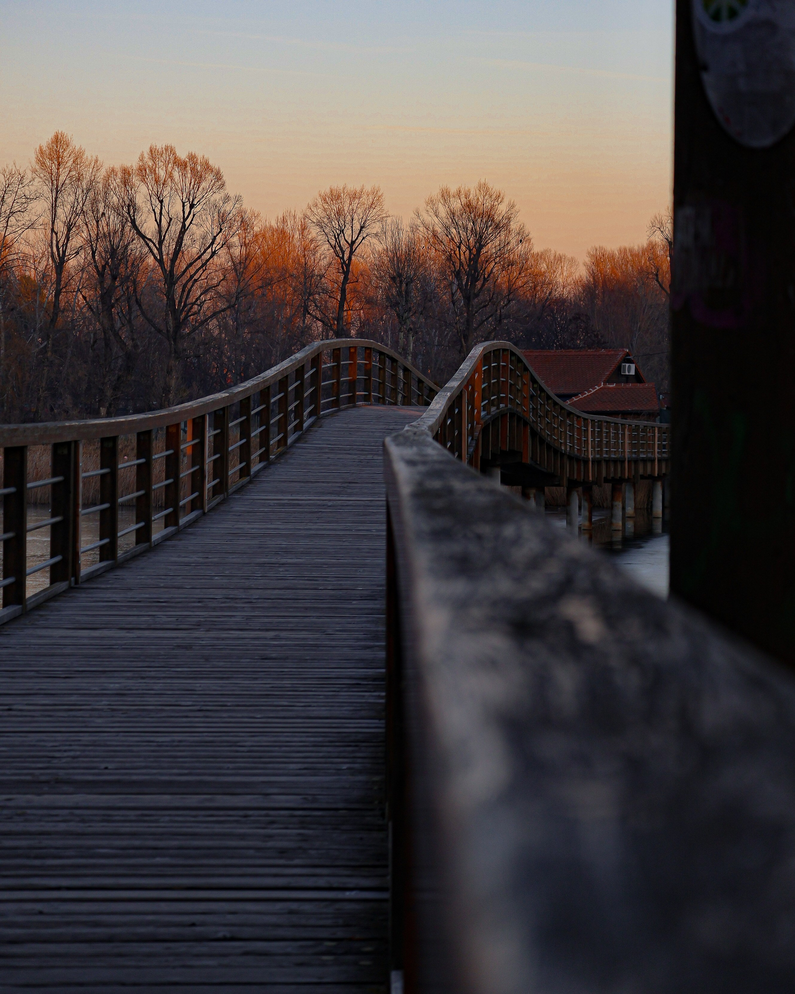 A wooden bridge and leafless trees in the background