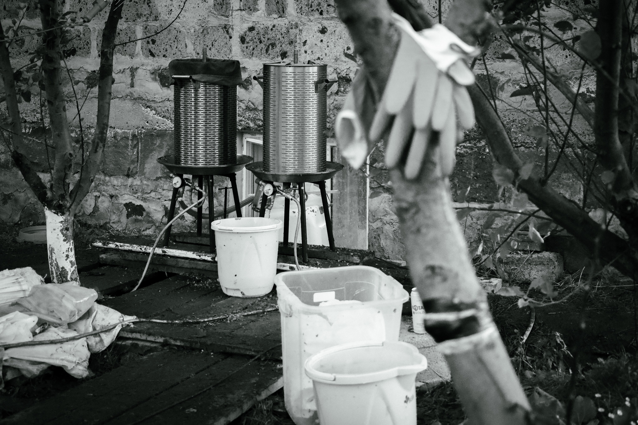 Factory reportage (hand-crafted cider). Asmikiam