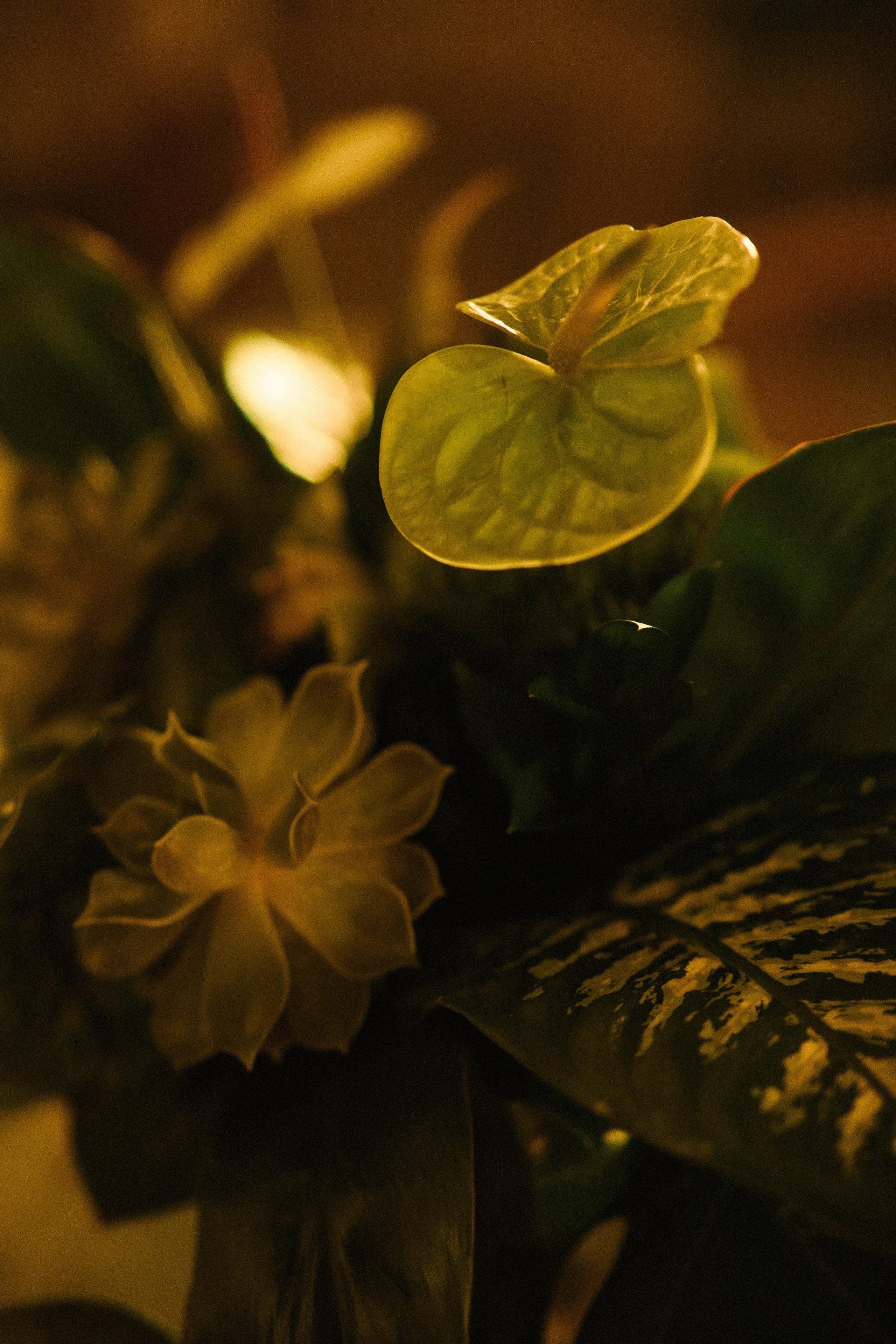 Four Seasons, Punta de Mita, Mexico. Wedding photographer Mexico Sayulita Puerto Vallarta Punta Mita Cabo