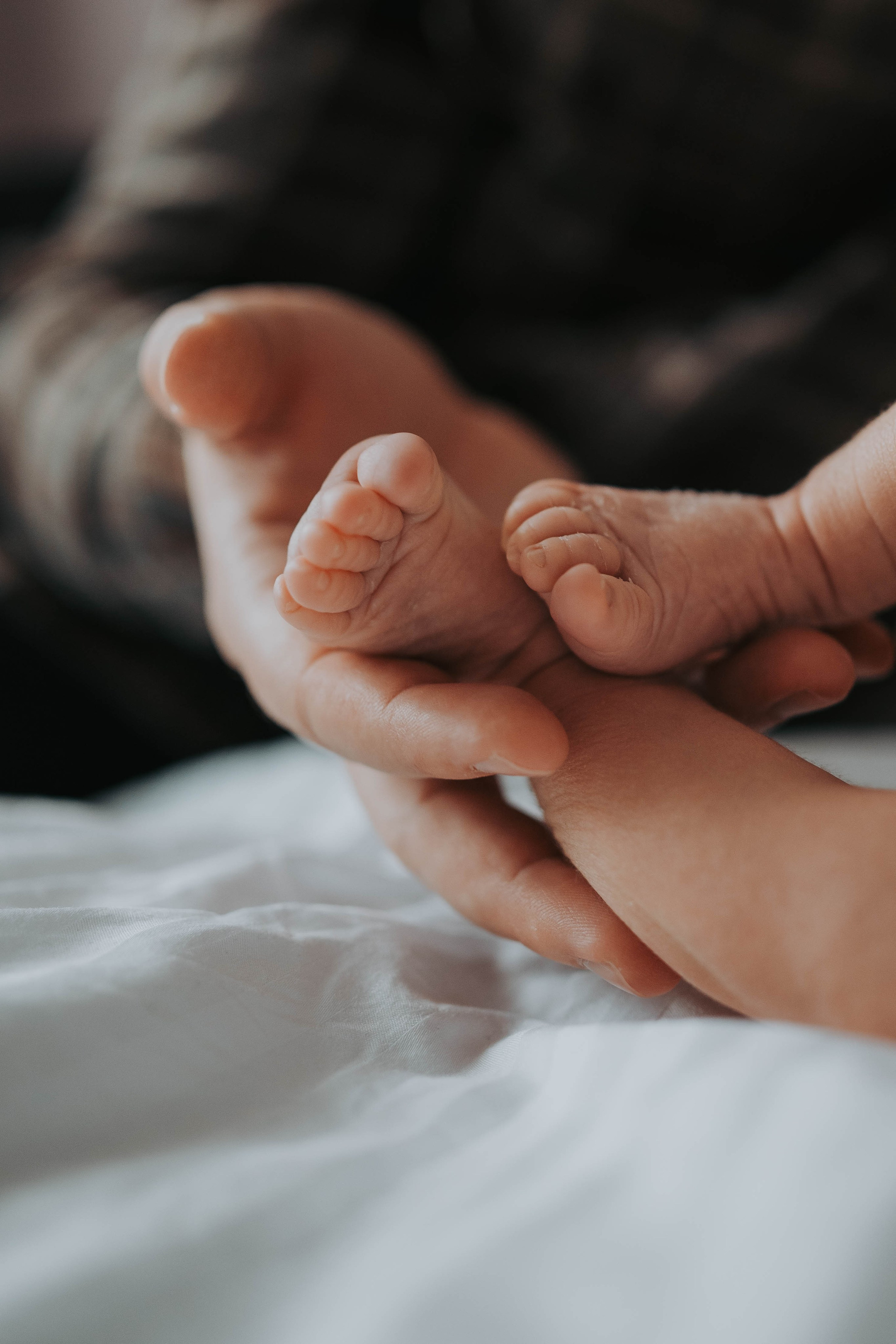 Vuk - fotografisanje bebe kod kuće. Dečiji i porodični fotograf