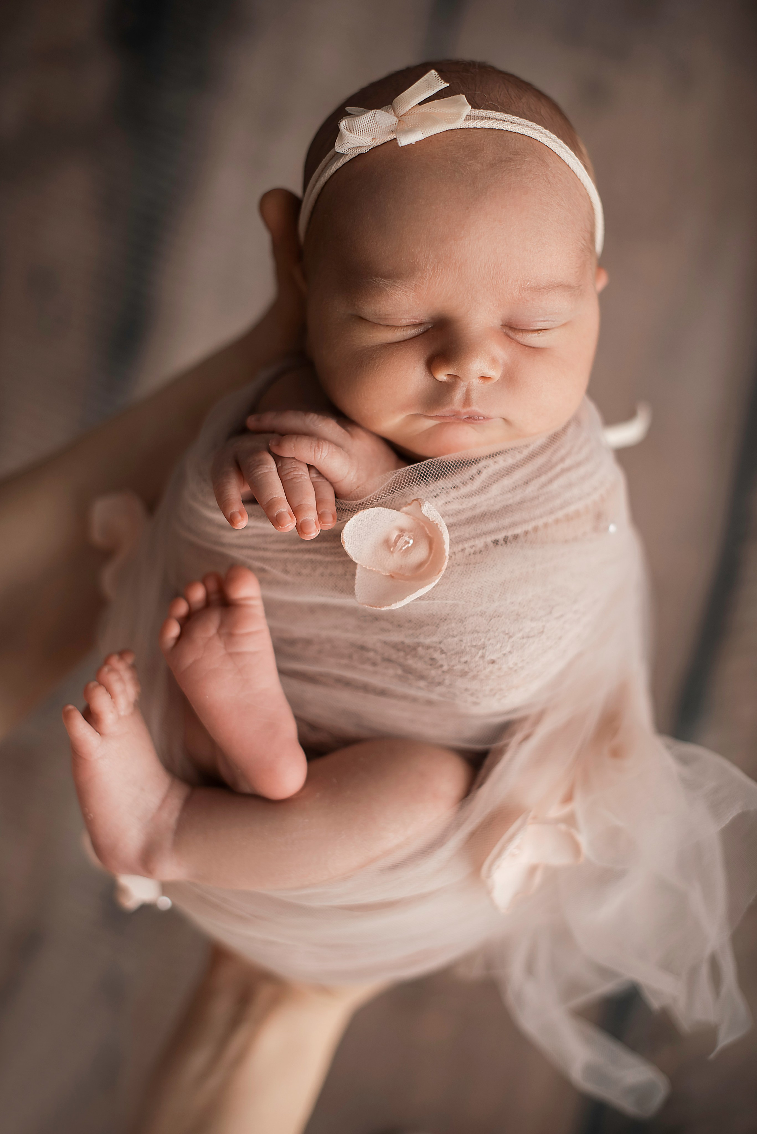 Felicity Ann. Newborn, pregnancy, family photographer in New Jersey