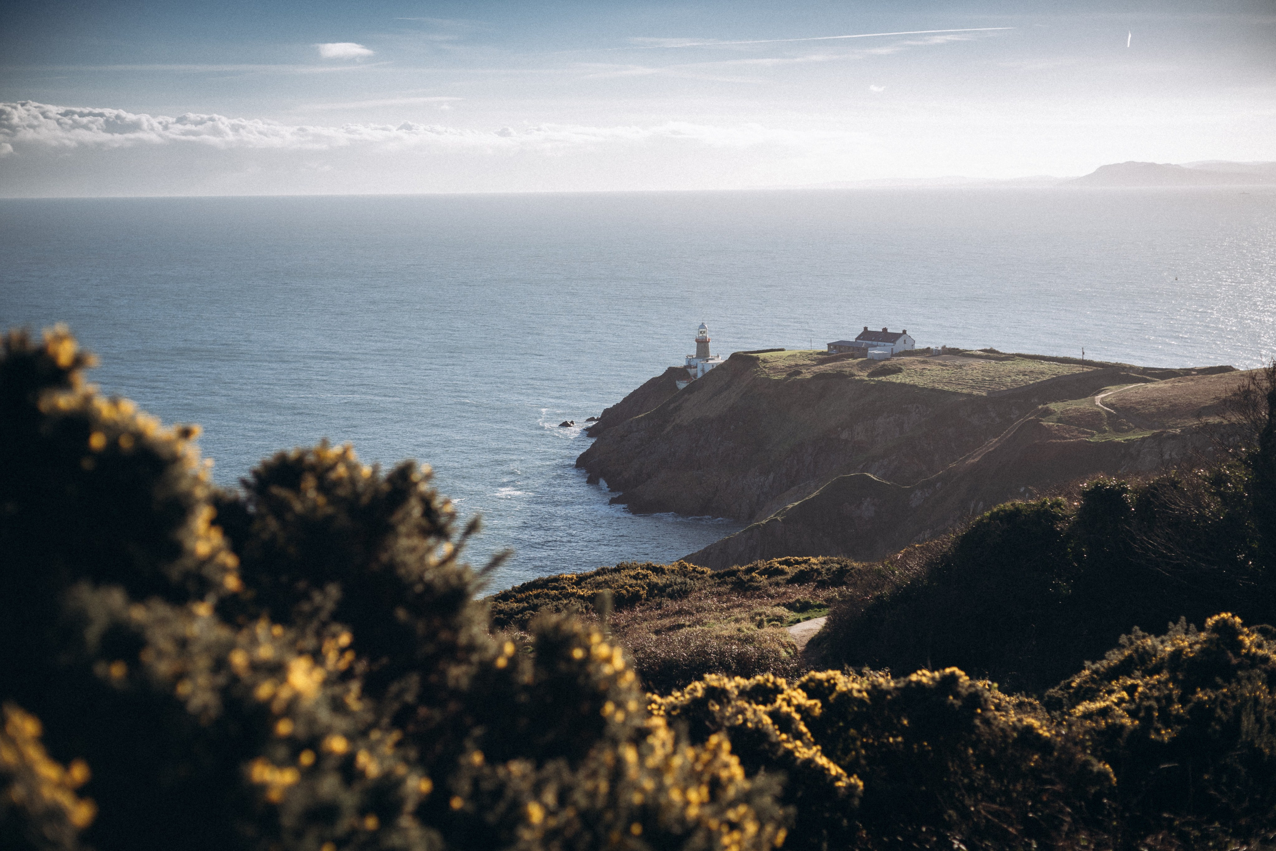 Howth cliff photoshoot. Wedding & Family photographer in County Donegal and Dublin, Ireland