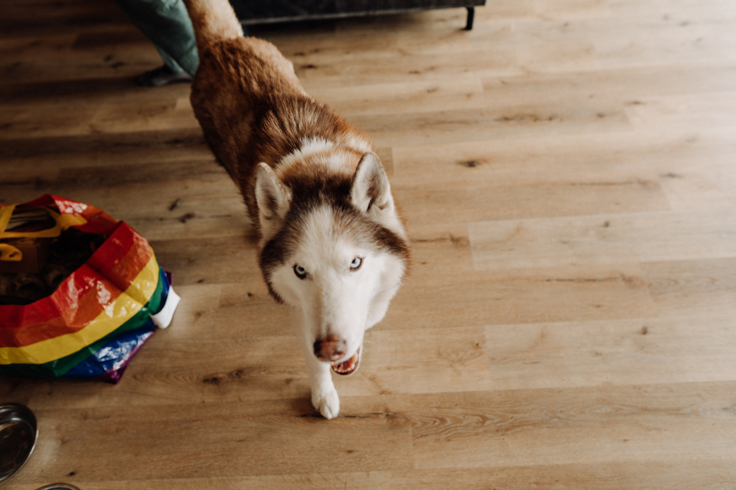 Friends. Фотограф в Праге Анна Лебедева