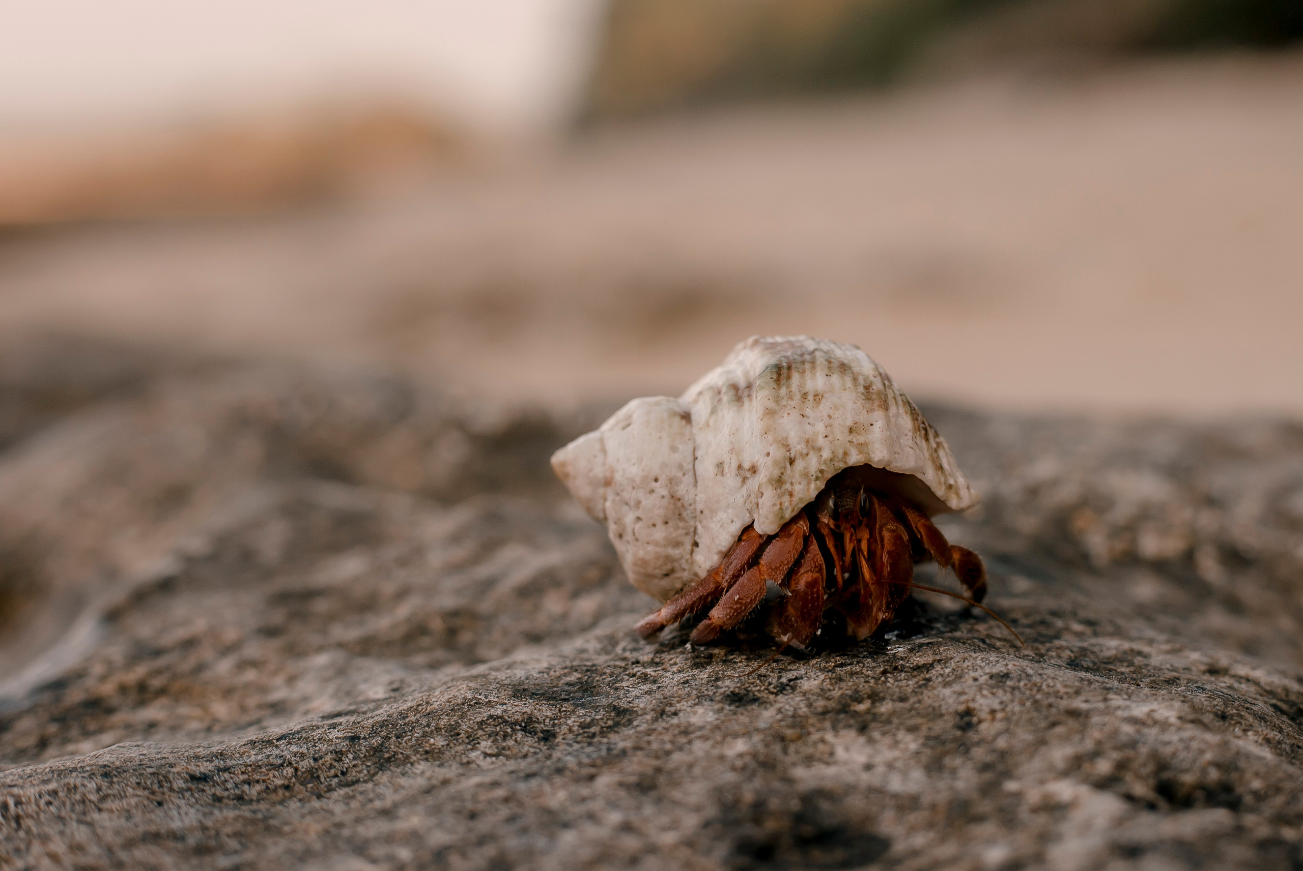 Andaman Islands, Part2. Art Photographer