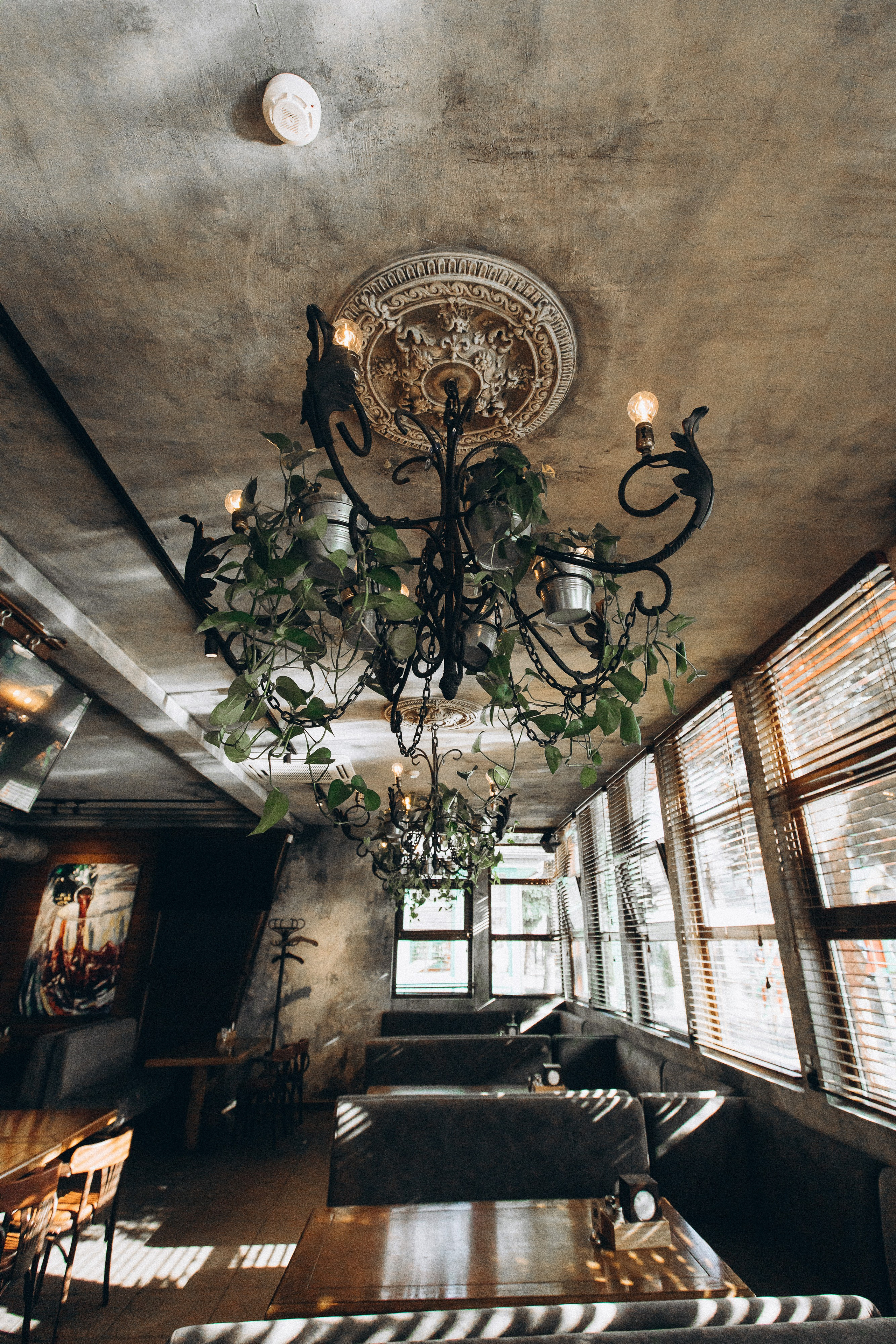 Мережа ресторанів Classic. Ірина Терещук