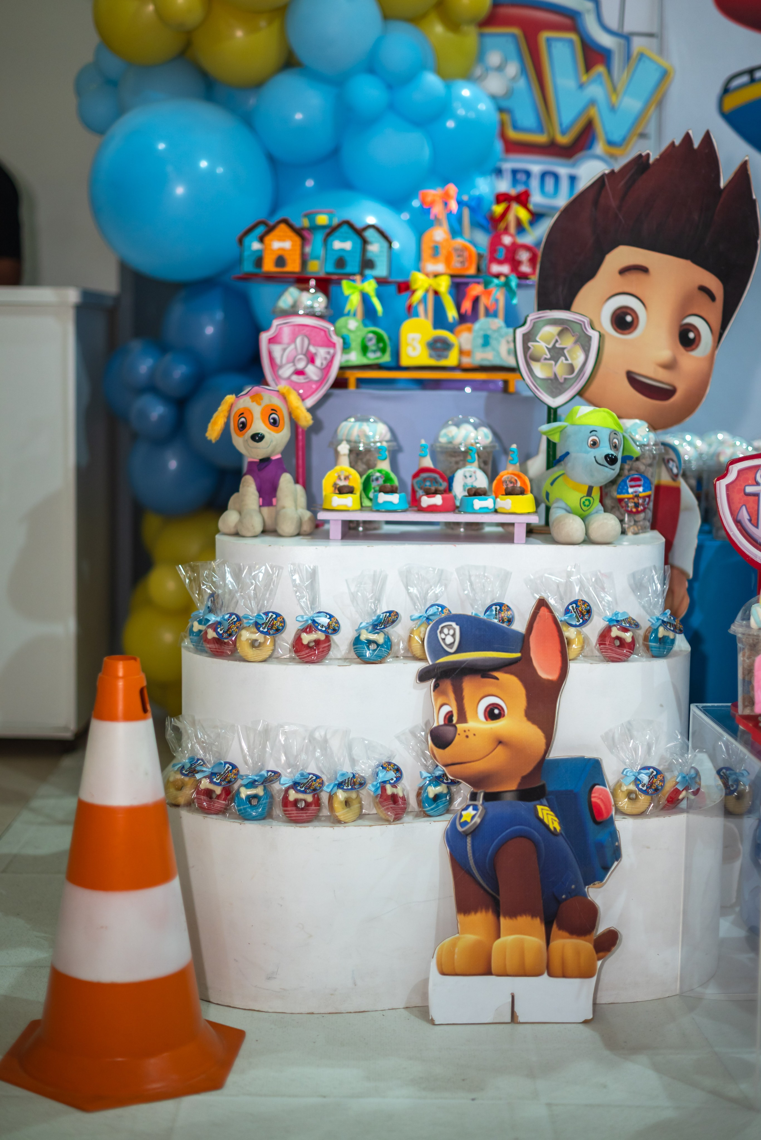 Guilherme 3 anos. Wedding photographer Ana Koshi