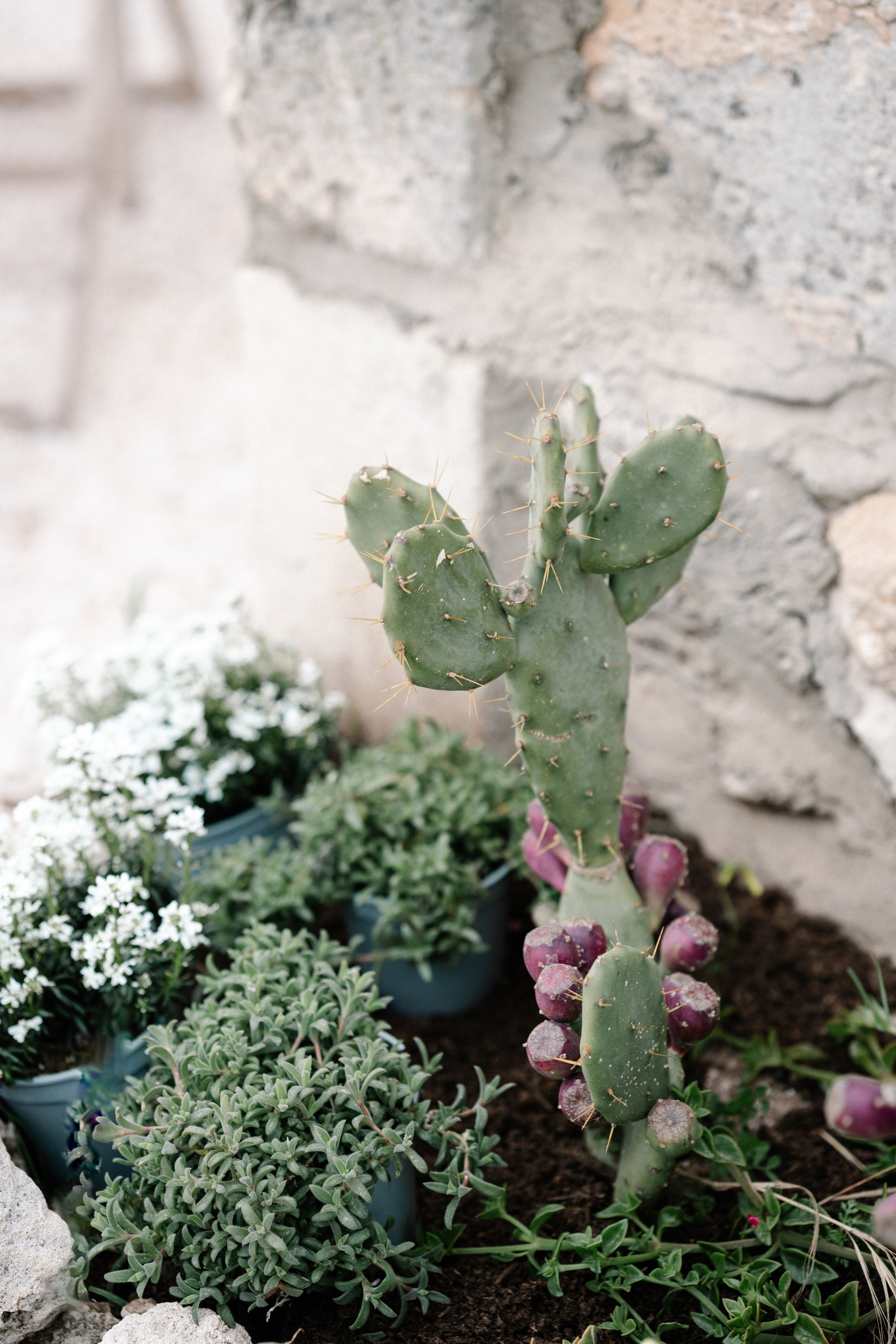 Alyssa&Sean. Wedding photographer Italy